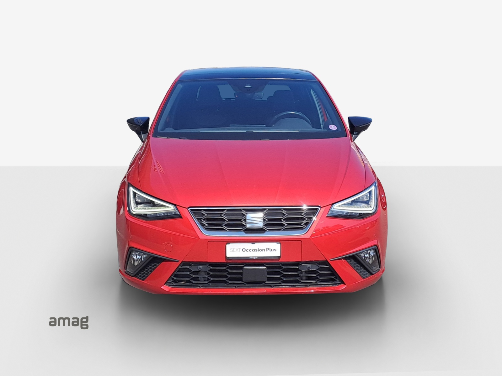 SEAT Ibiza 1.0 EcoTSI Hola FR DSG-image-6