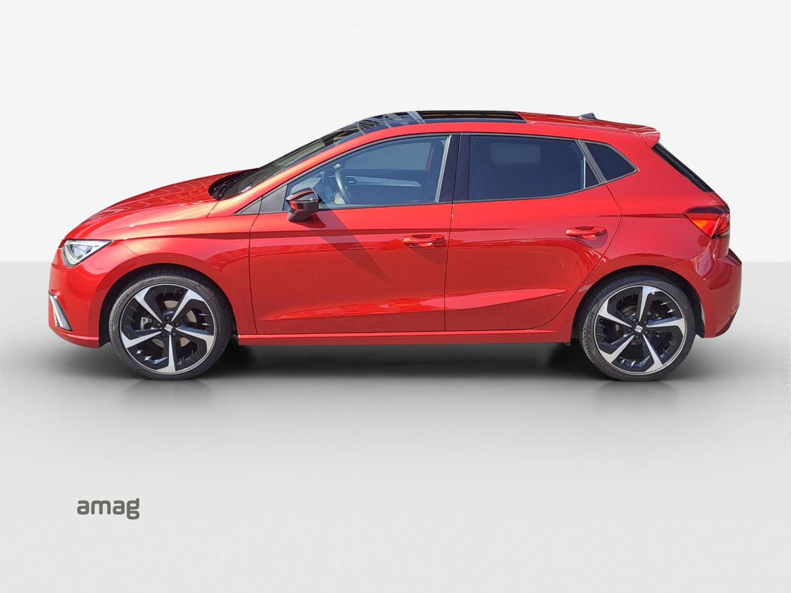 SEAT Ibiza 1.0 EcoTSI Hola FR DSG-image-1