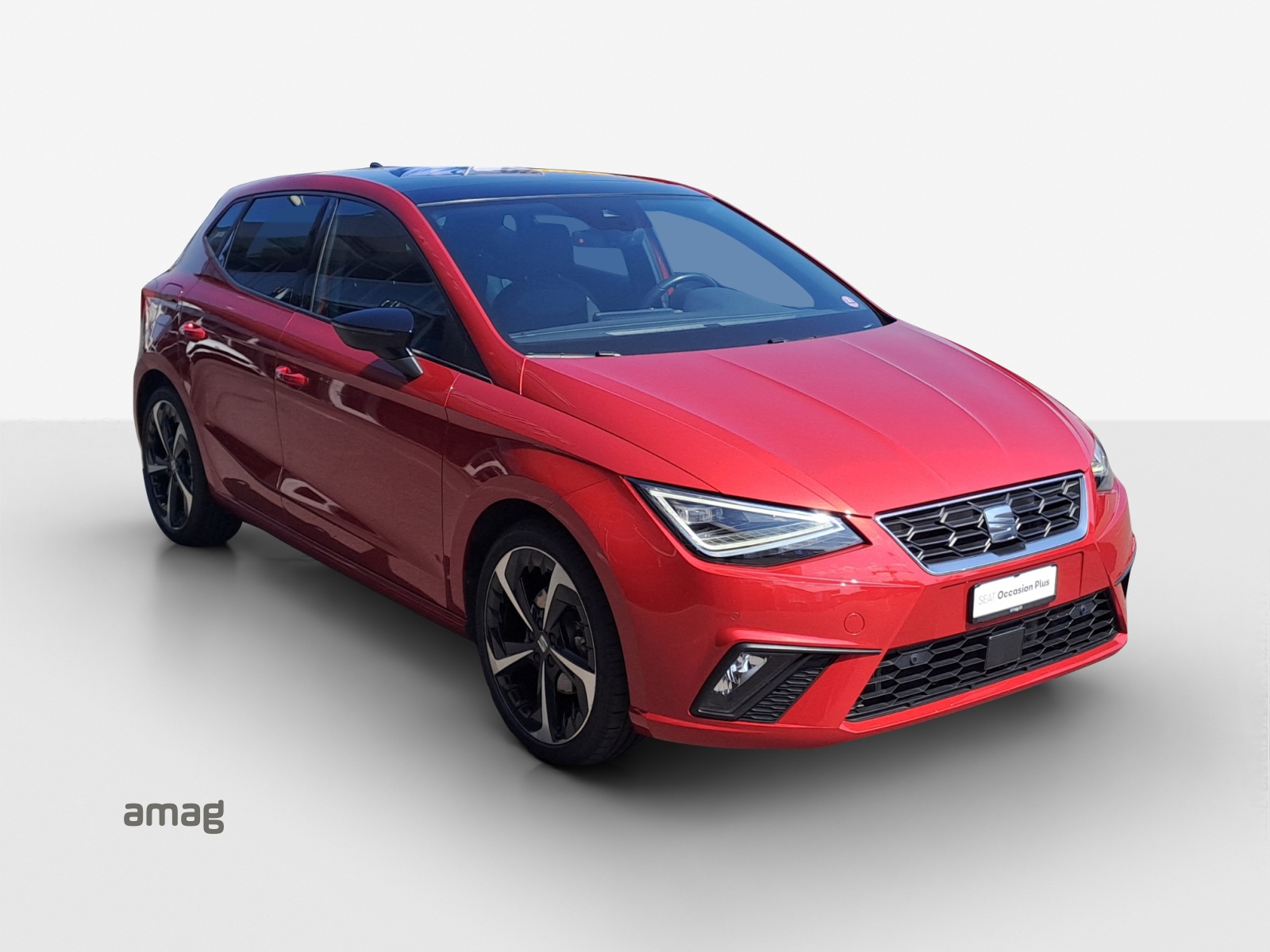 SEAT Ibiza 1.0 EcoTSI Hola FR DSG-image-5