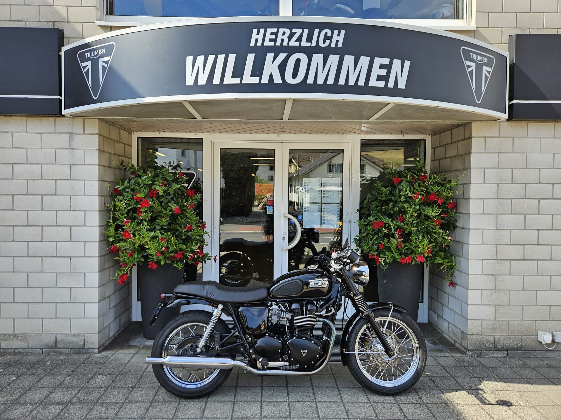 TRIUMPH Bonneville 800