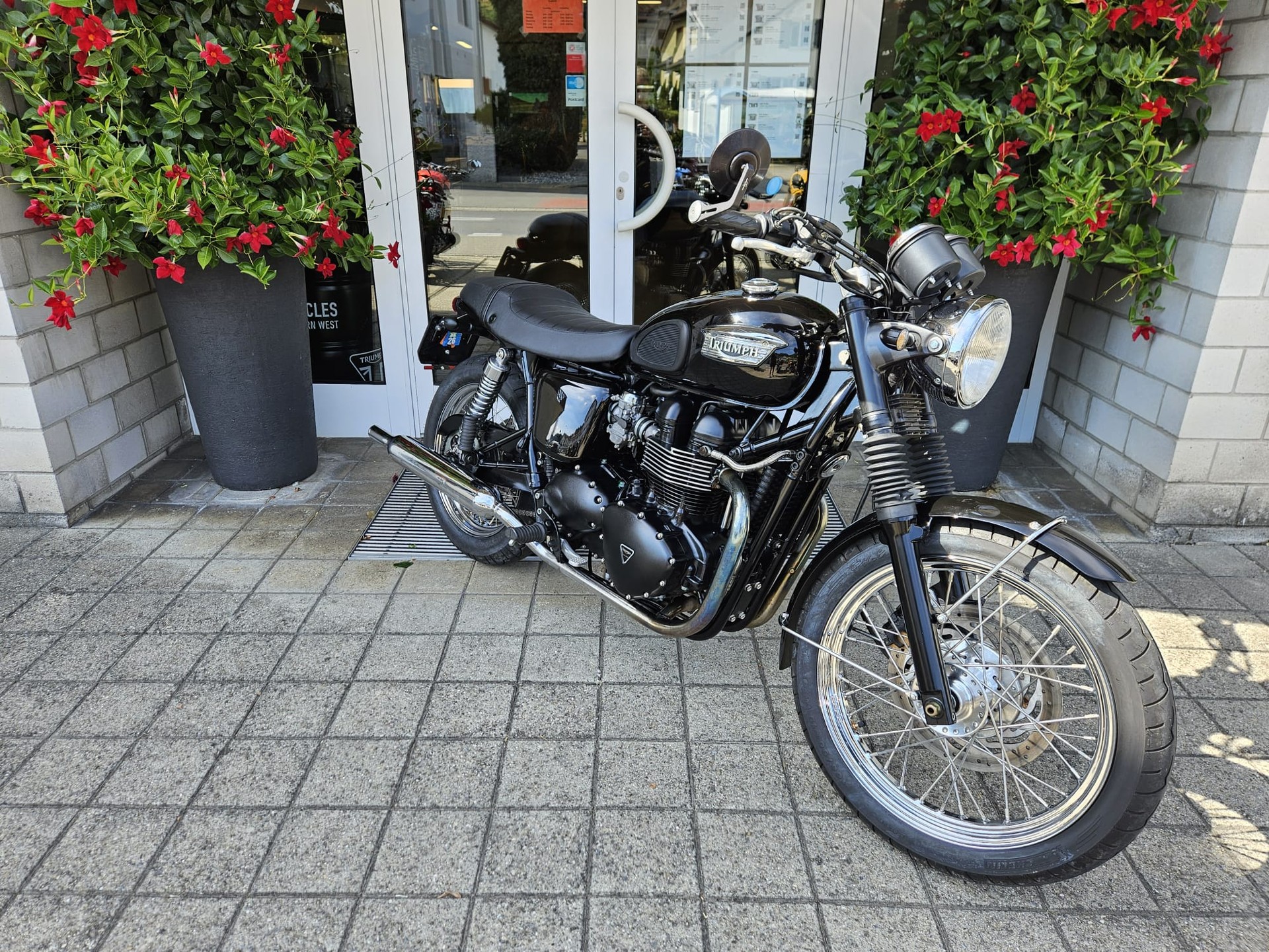 TRIUMPH Bonneville 800-showroom-element-2