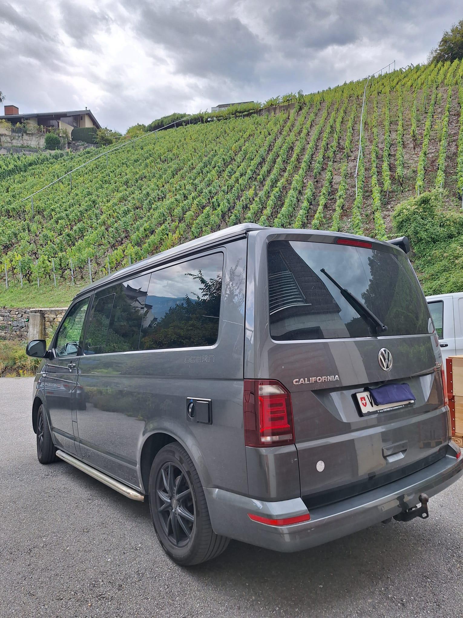 VW T6 California 3000 2.0 TDI 204 Ocean Ed. DSG 4m-image-3