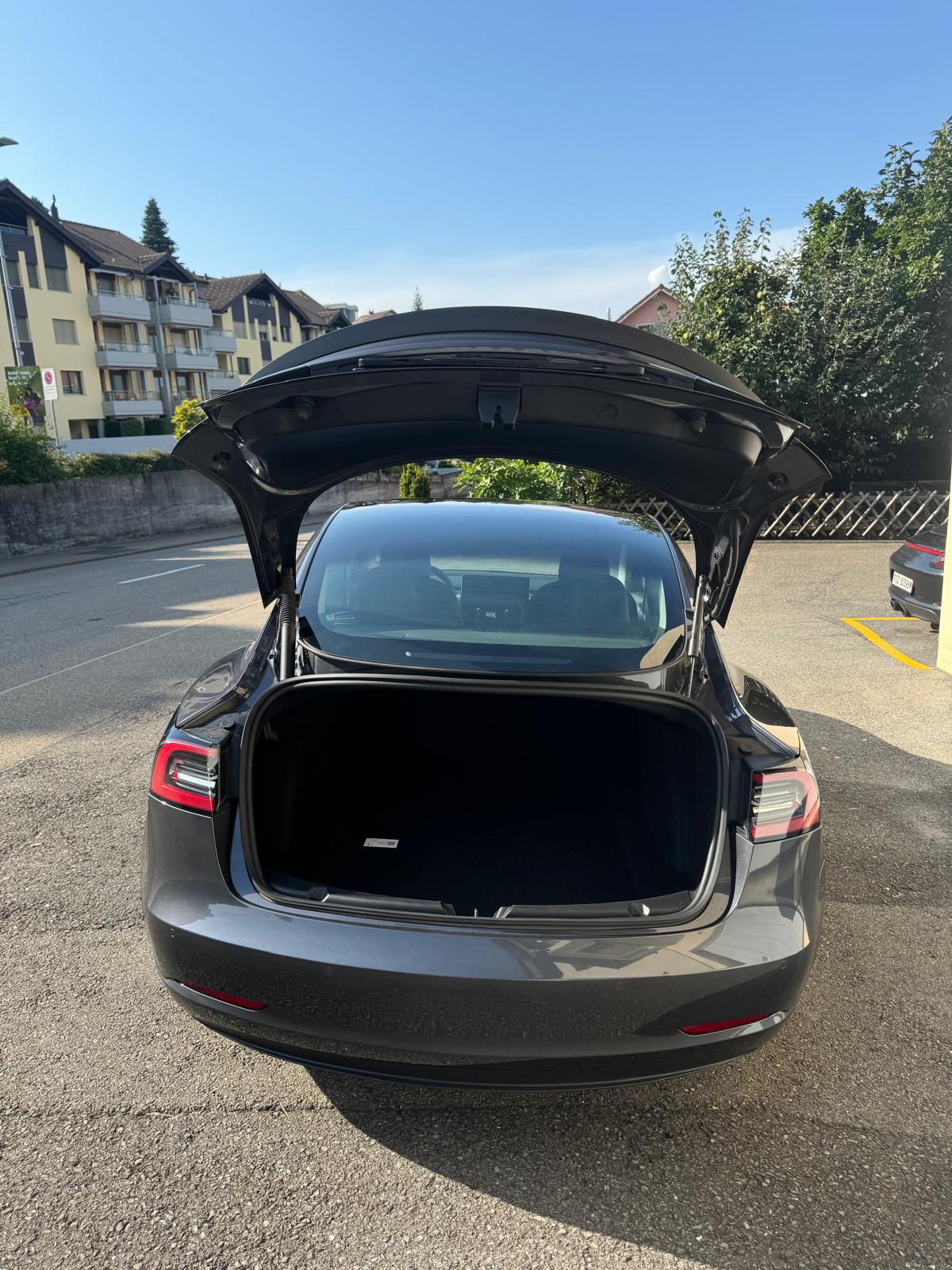 TESLA Model 3 Performance Dual Motor AWD-image-2