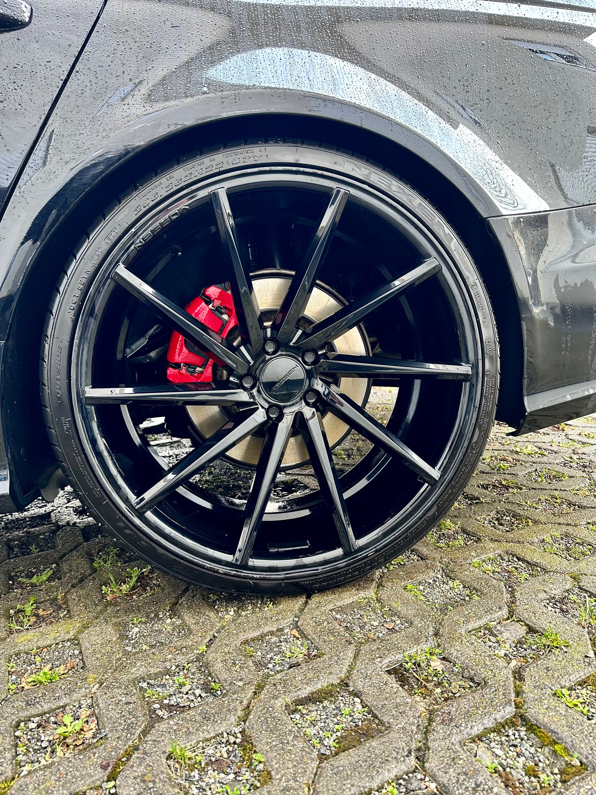 AUDI A6 Avant 3.0 BiTDI V6 qu. competition tiptronic-image-17