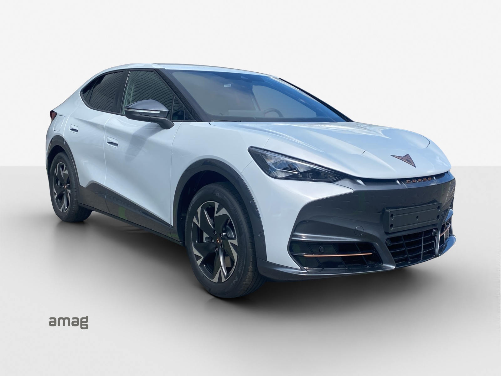 CUPRA Tavascan Type 4 77 kWh Endurance Edge-image-5