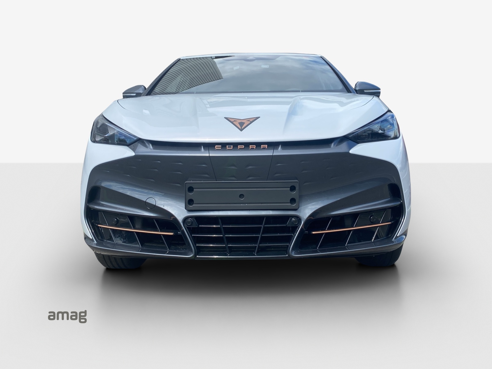 CUPRA Tavascan Type 4 77 kWh Endurance Edge-image-6