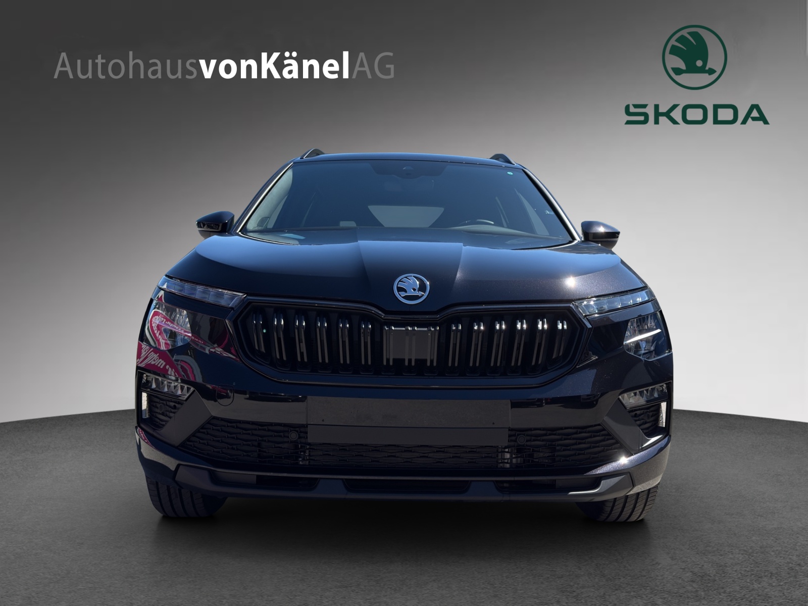 SKODA Kamiq 1.0 TSI Dynamic DSG-showroom-element-3
