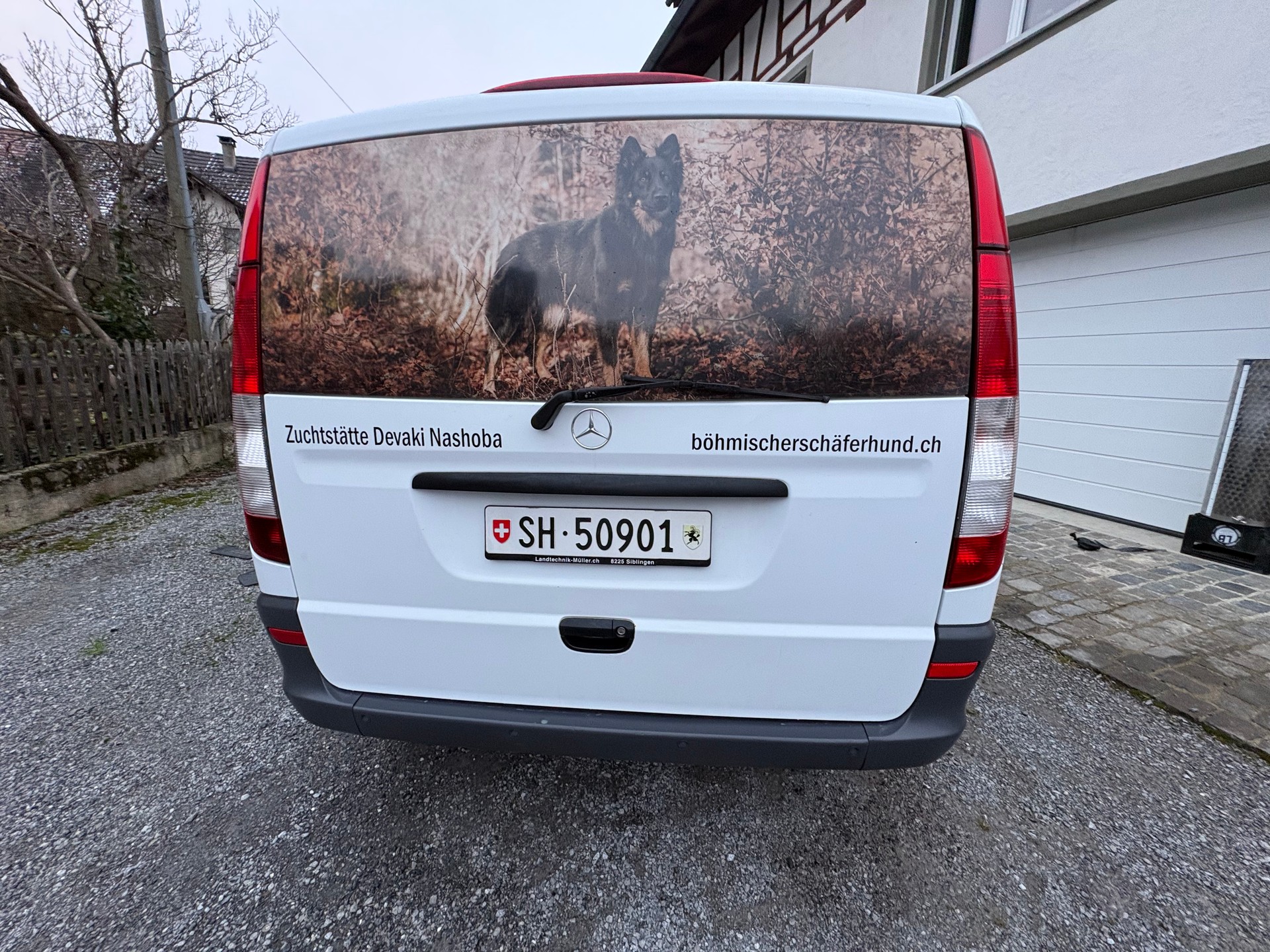 MERCEDES-BENZ 113 CDI 4x4-image-5