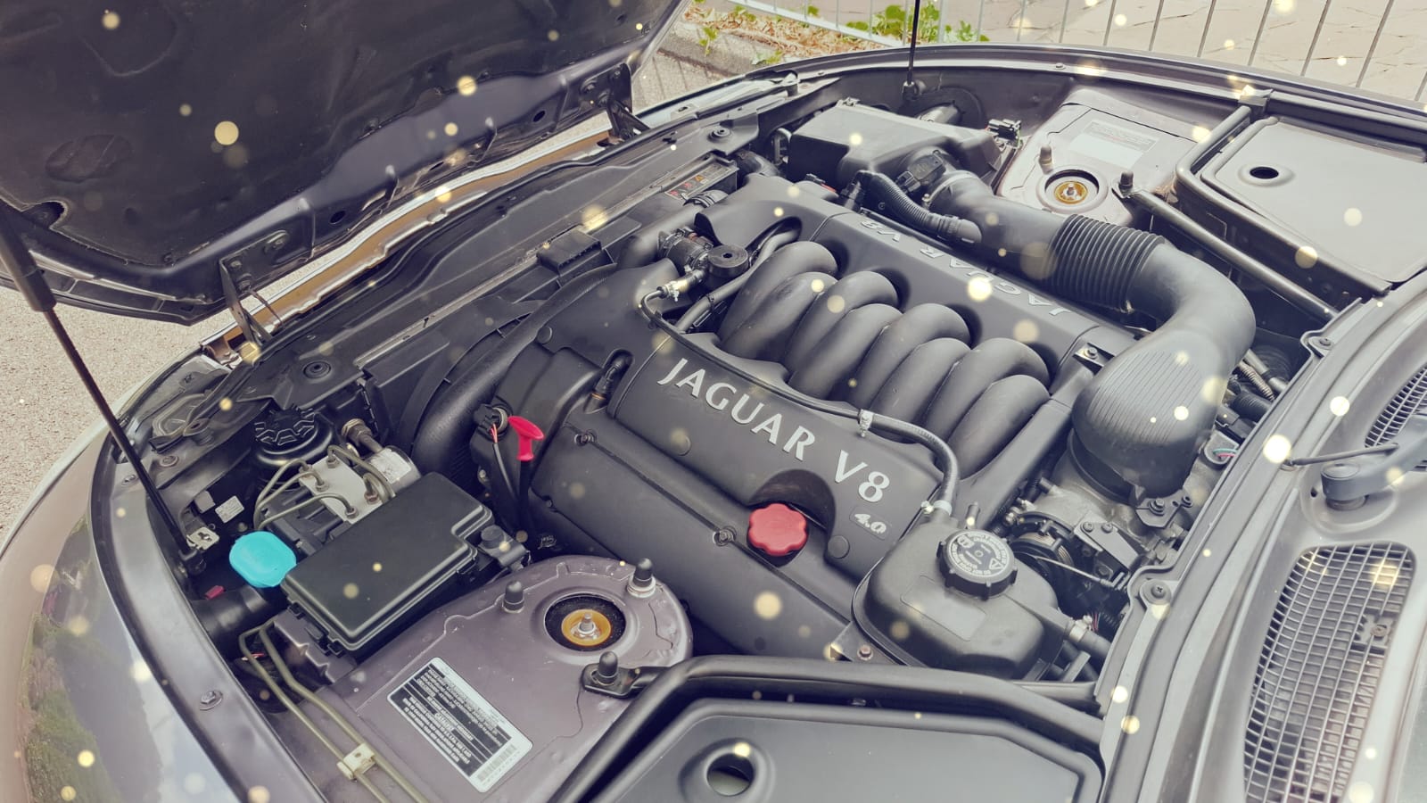 JAGUAR XK 8-image-3