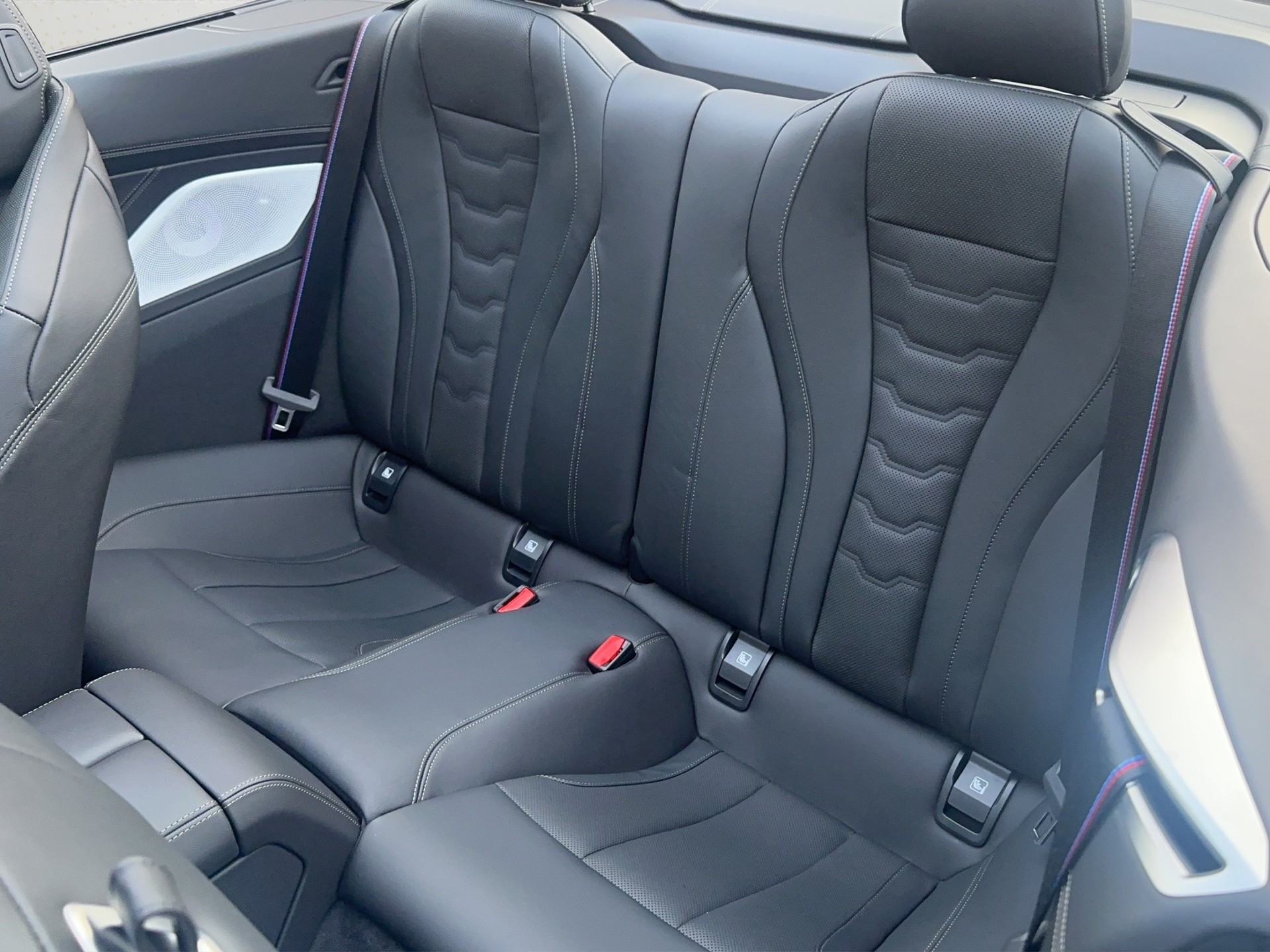 BMW M850i xDrive (CH) Individual Carbon-image-18