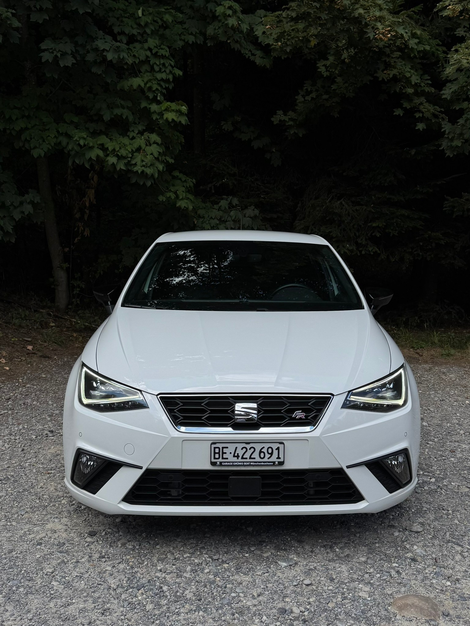 SEAT 1.0 TSI 115 Swiss FR-image-0