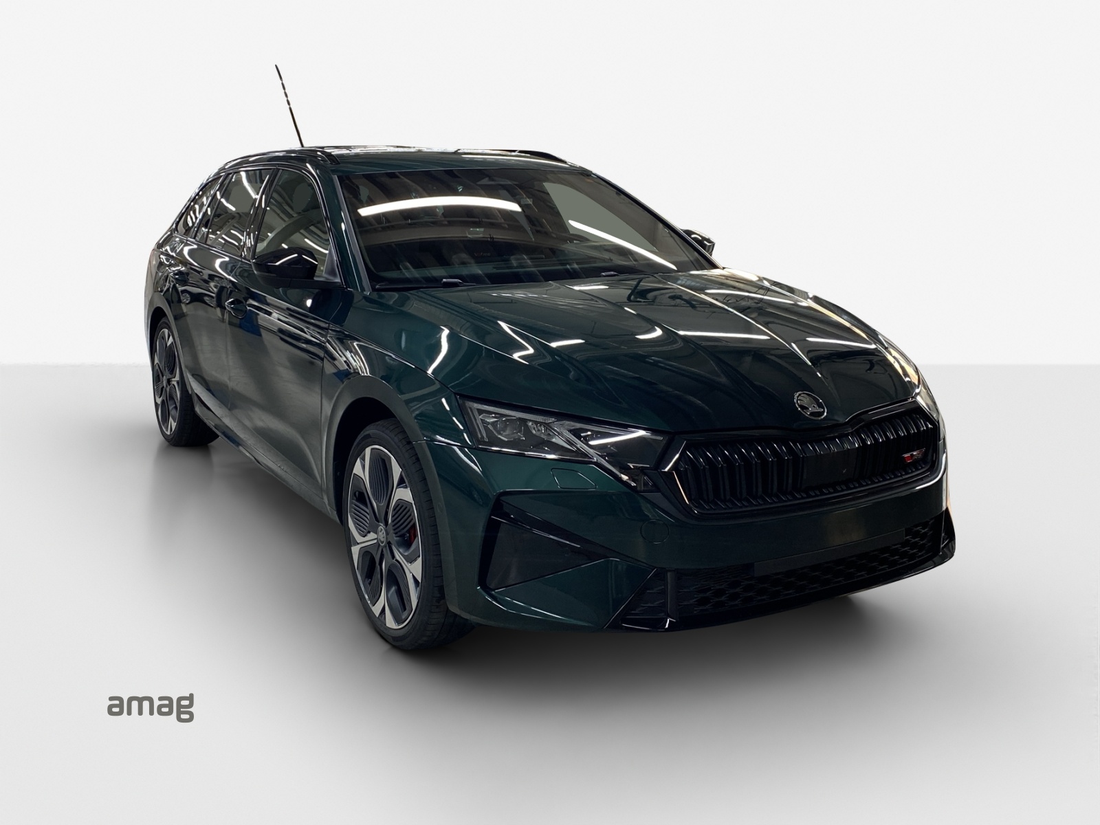 SKODA Octavia Combi 2.0 TSI DSG RS 30 Years Edition-image-5