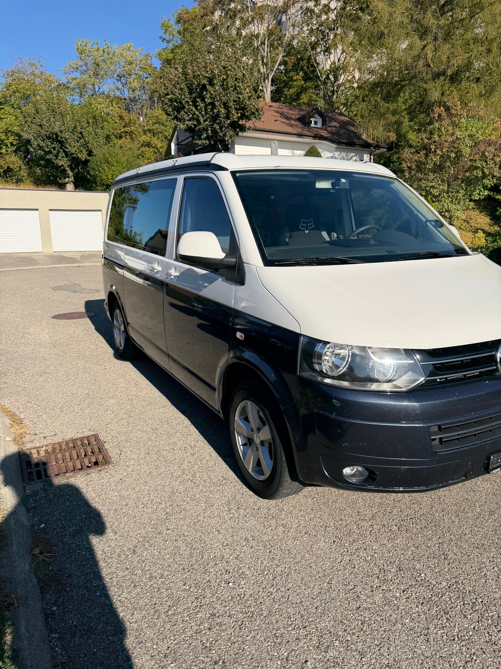 VW T5-image-1