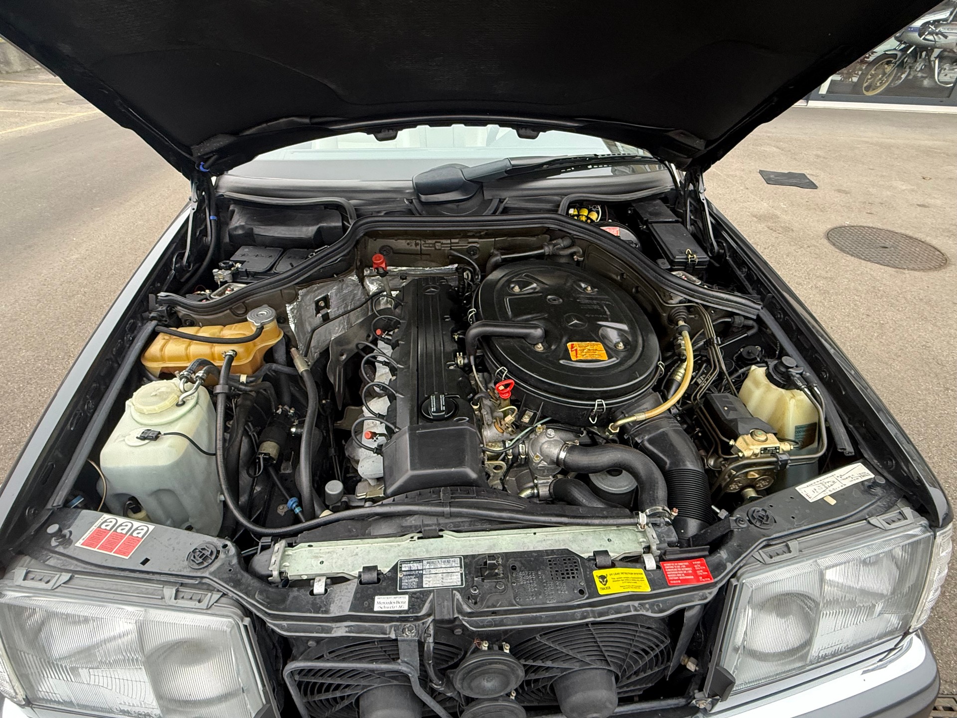MERCEDES-BENZ 300 CE-image-12
