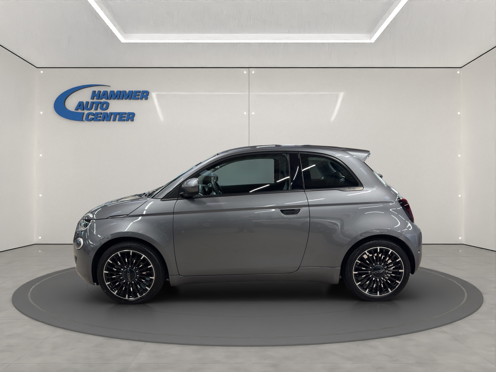 FIAT 500 Icon-image-1