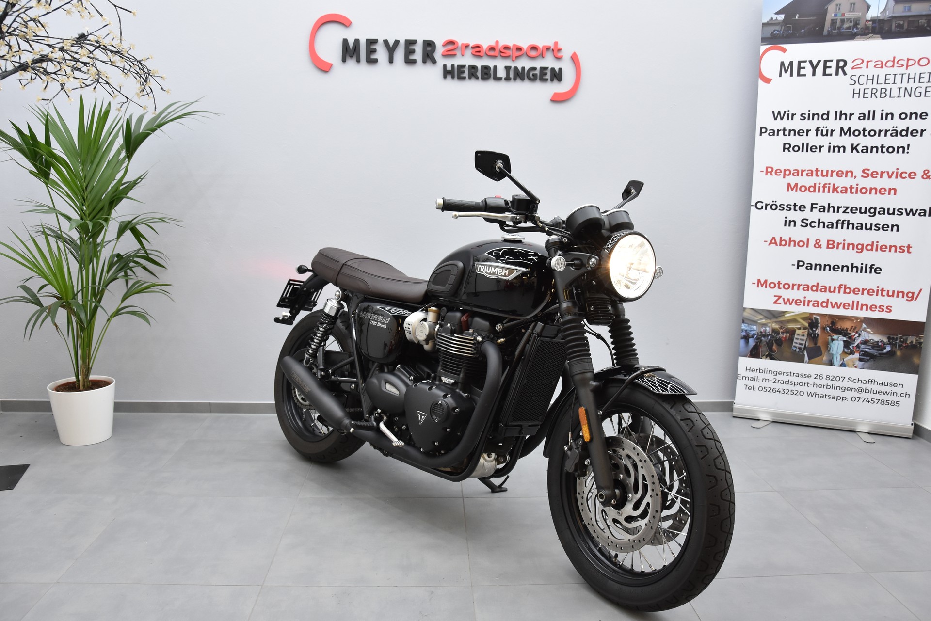 TRIUMPH Bonneville T120 ABS