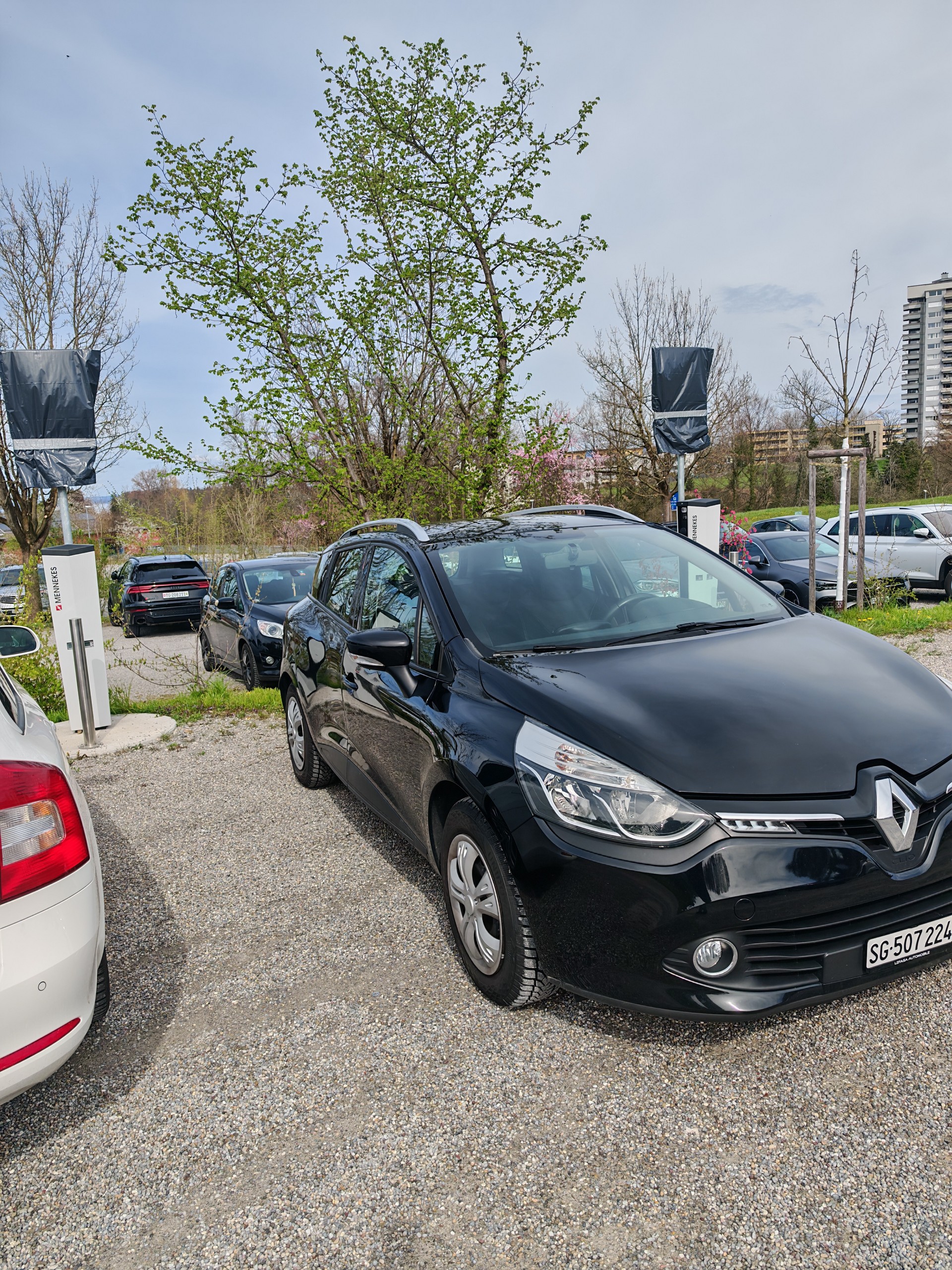 RENAULT 0.9 TCe Swiss Edition S/S-image-2