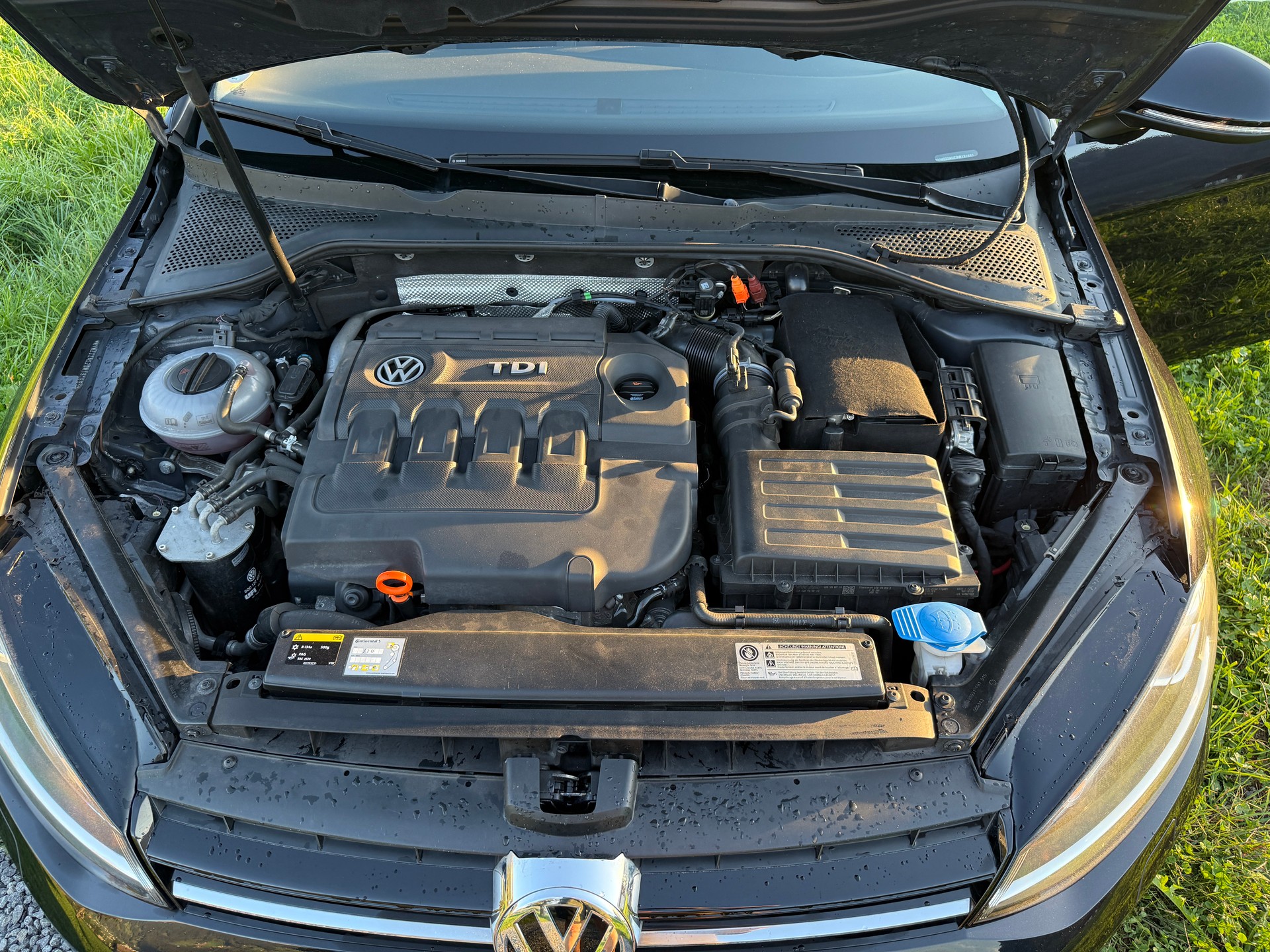 VW 2.0 TDI Highline 4m-image-8