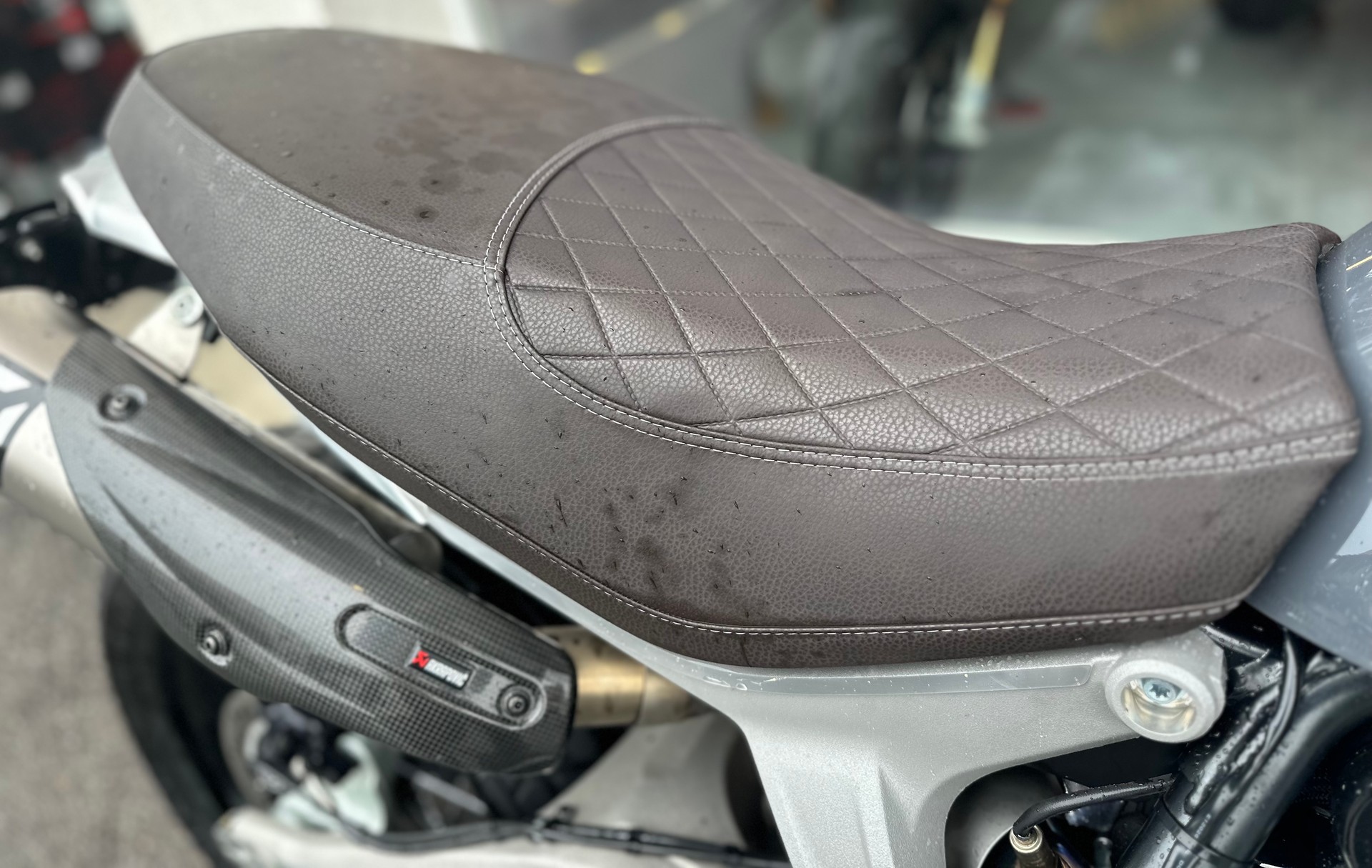 DUCATI Scrambler 1100-image-8