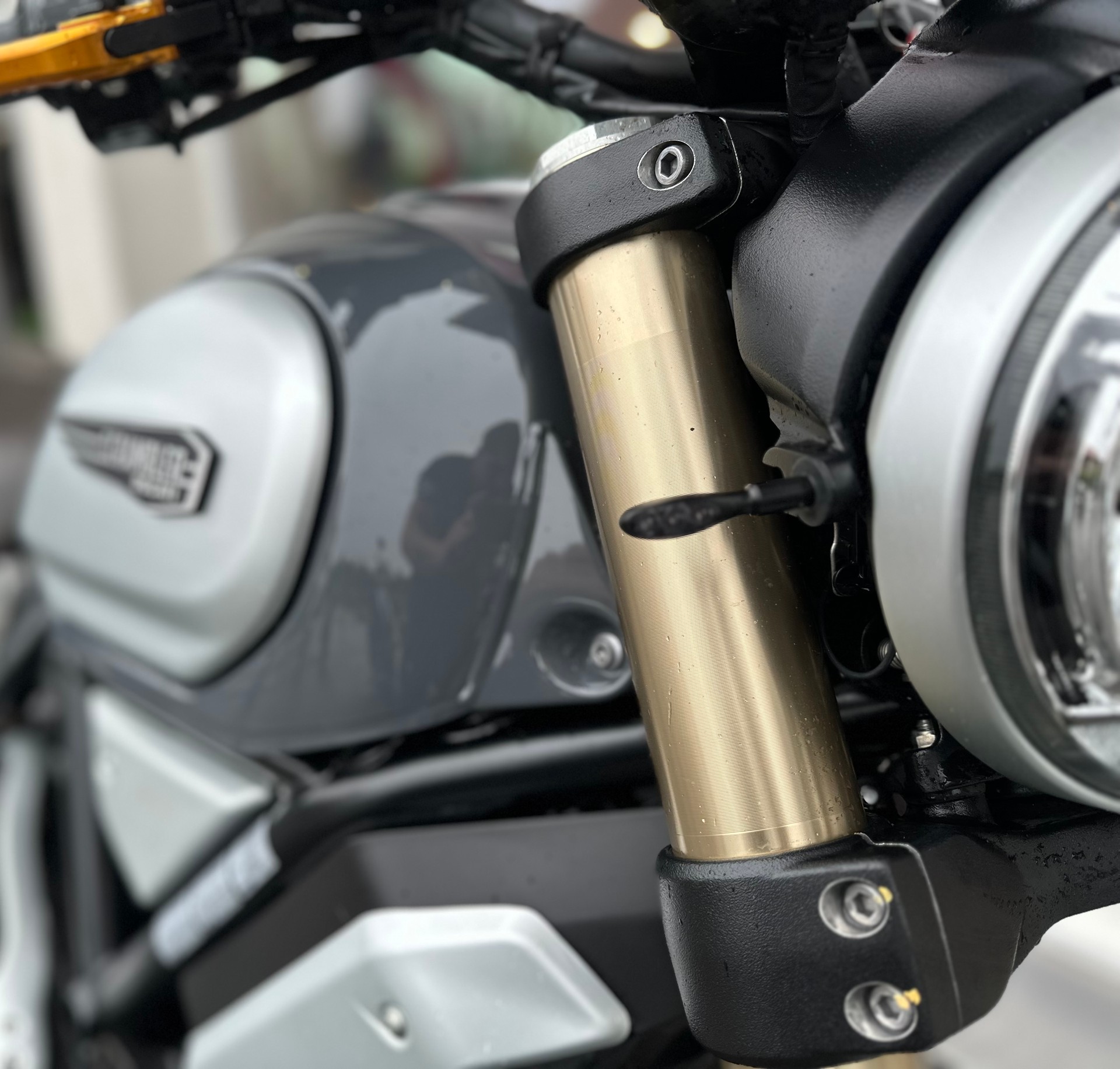 DUCATI Scrambler 1100-image-7
