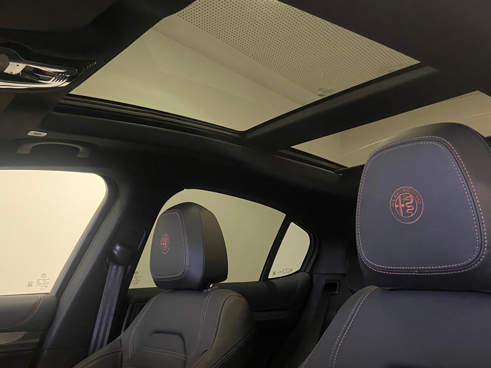 ALFA ROMEO Stelvio 2.0 "Edizione Carbone Intensa Sky" Q4 AT8-image-4