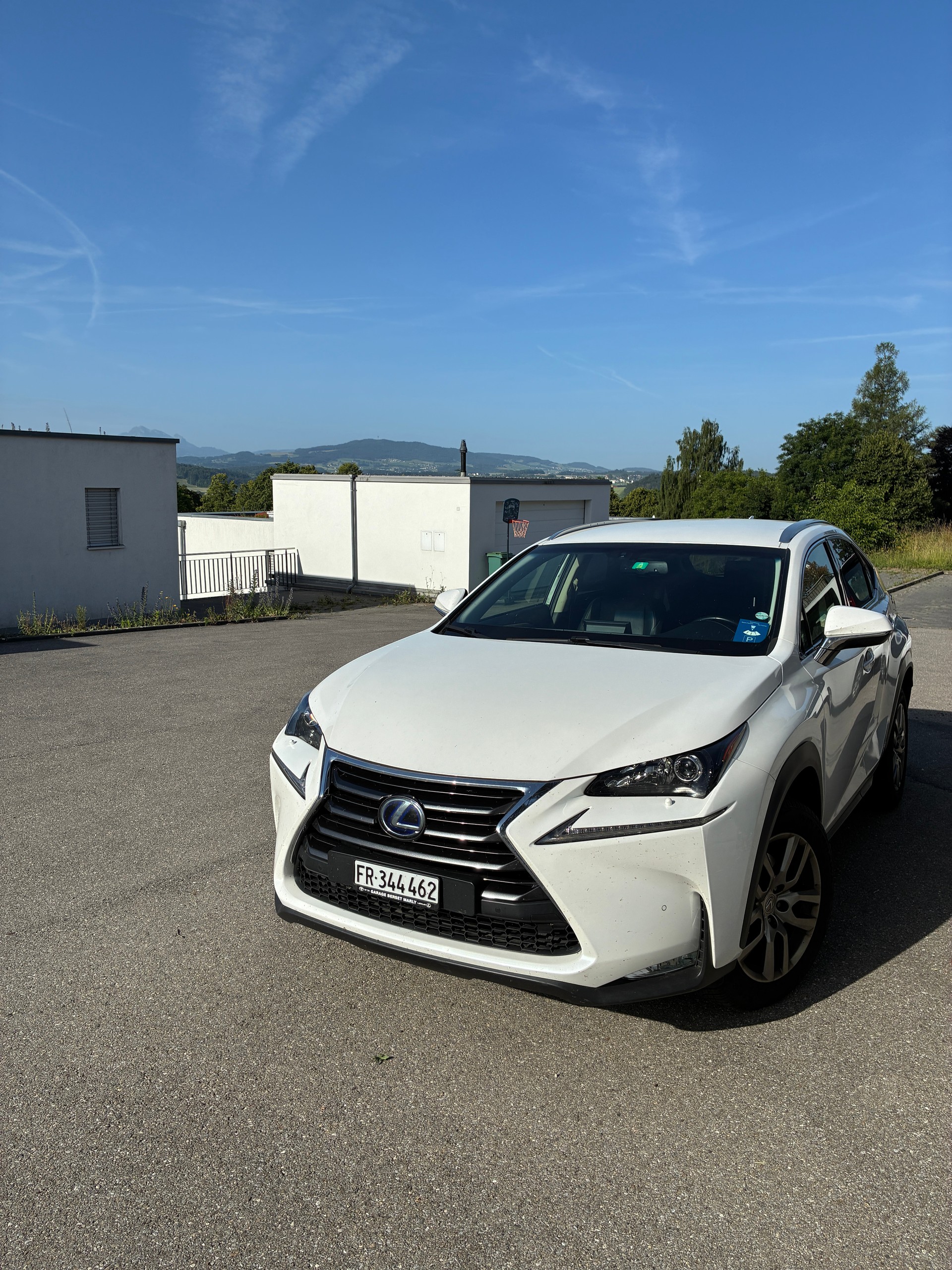 LEXUS 300h confort-image-1