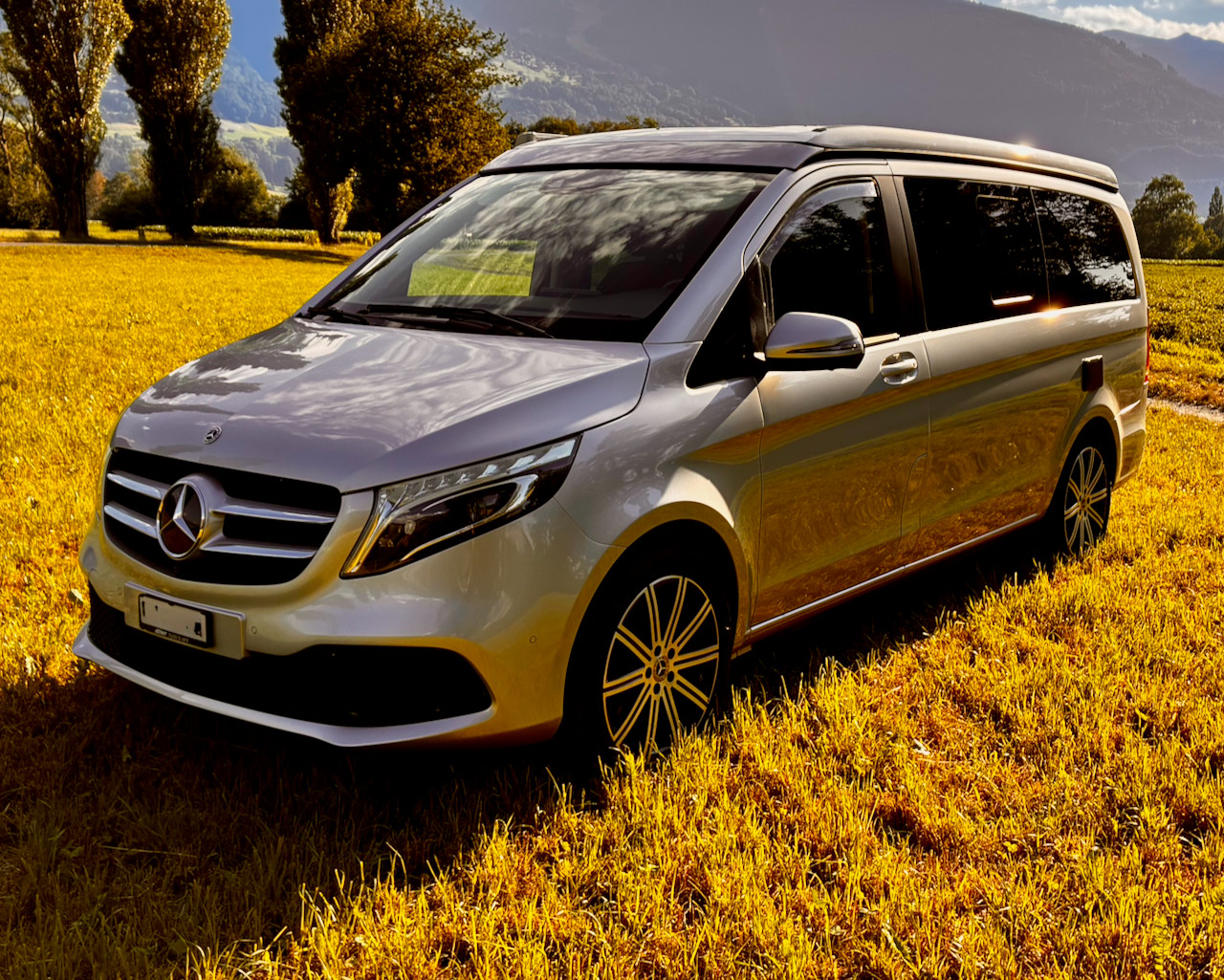 MERCEDES-BENZ 250 d 4Matic-image-2