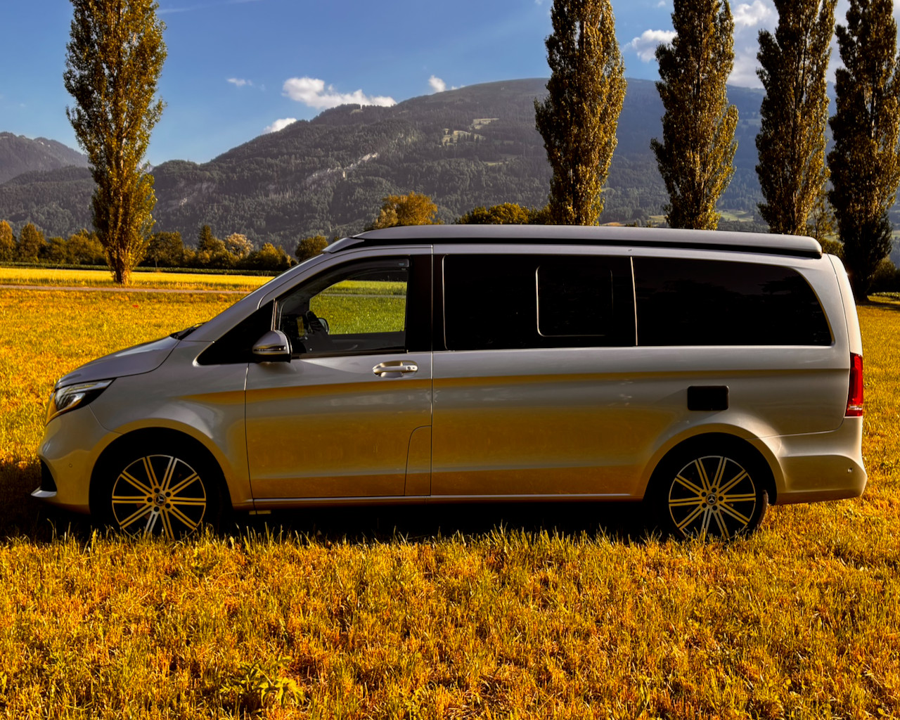MERCEDES-BENZ 250 d 4Matic-image-3