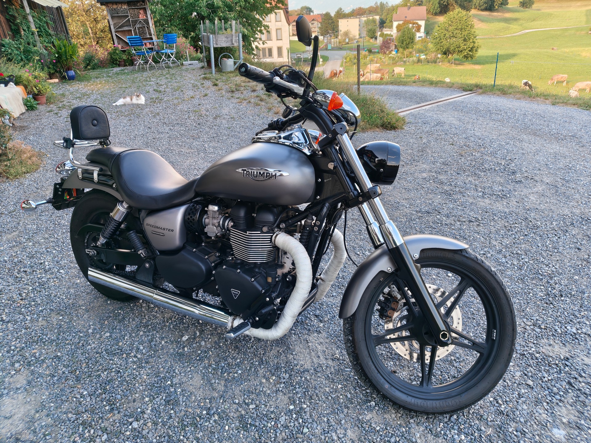 TRIUMPH Speedmaster 900 i