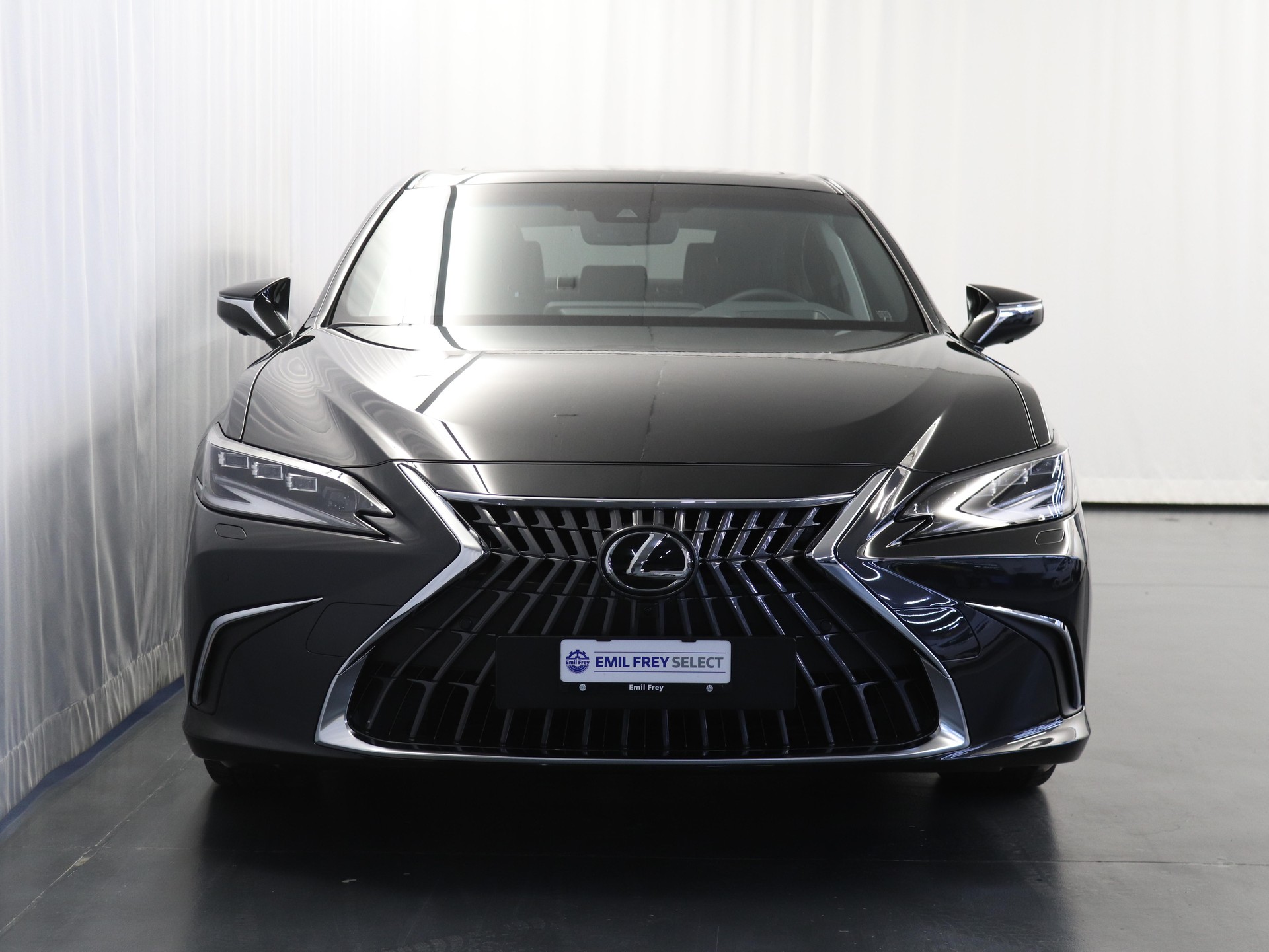 LEXUS ES 300h Excellence-image-2