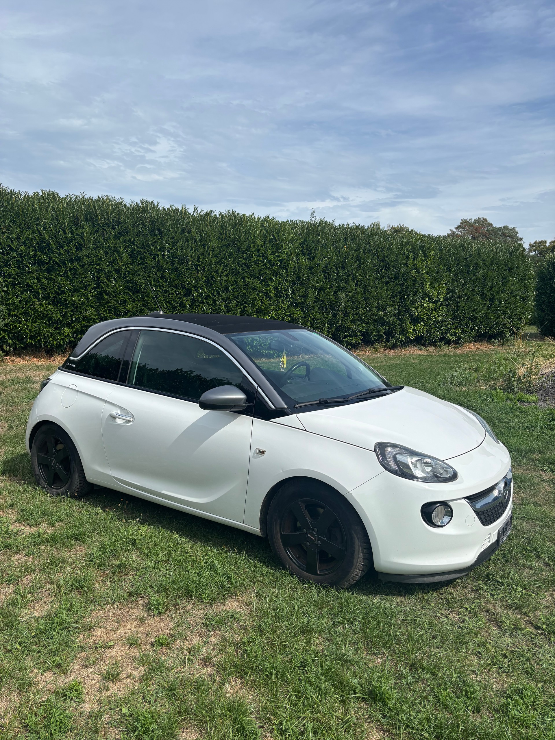 OPEL 1.0i eFLEX Swingtop S/S-image-1