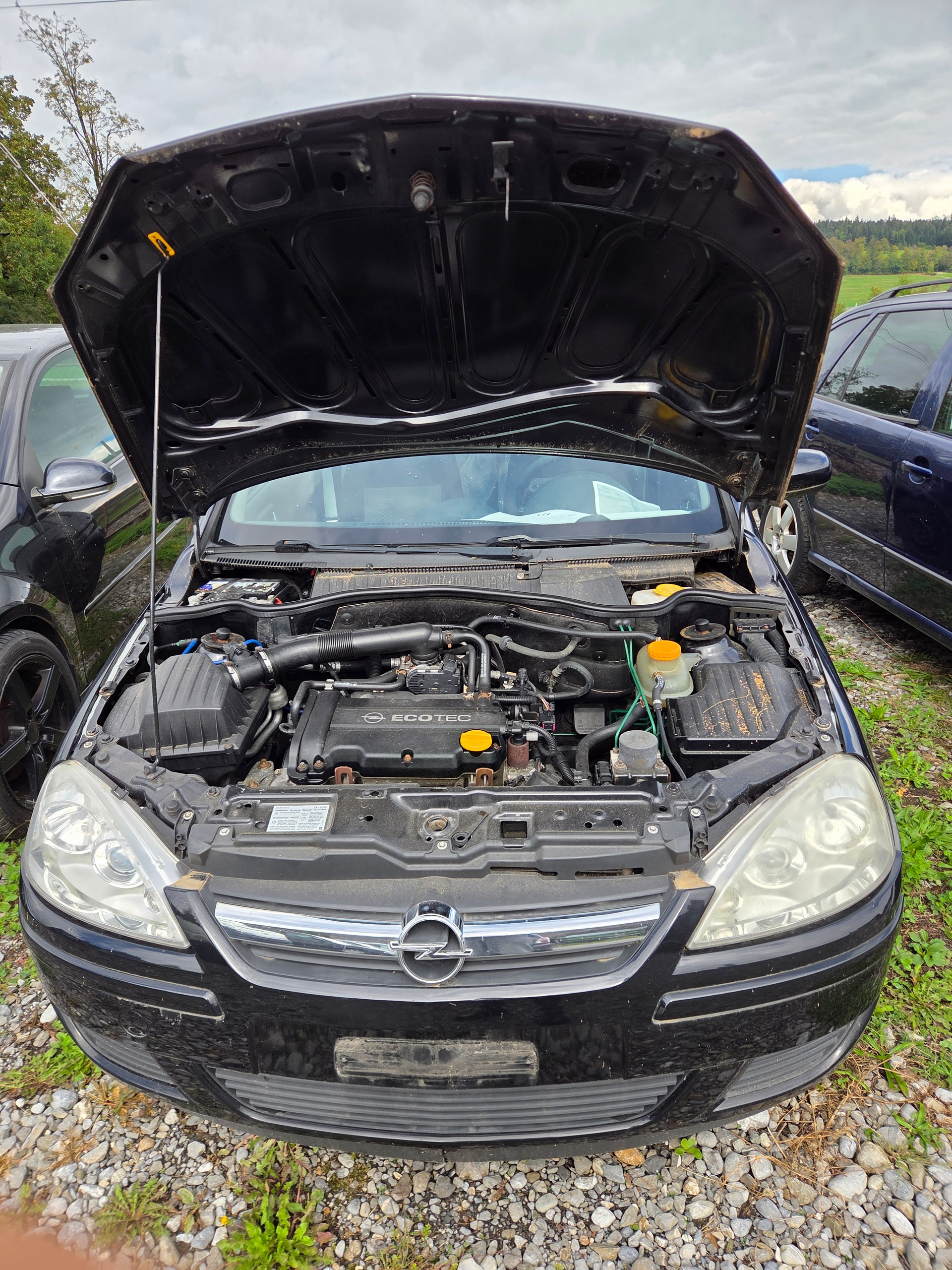 OPEL Corsa 1.4 TP Sport-image-6