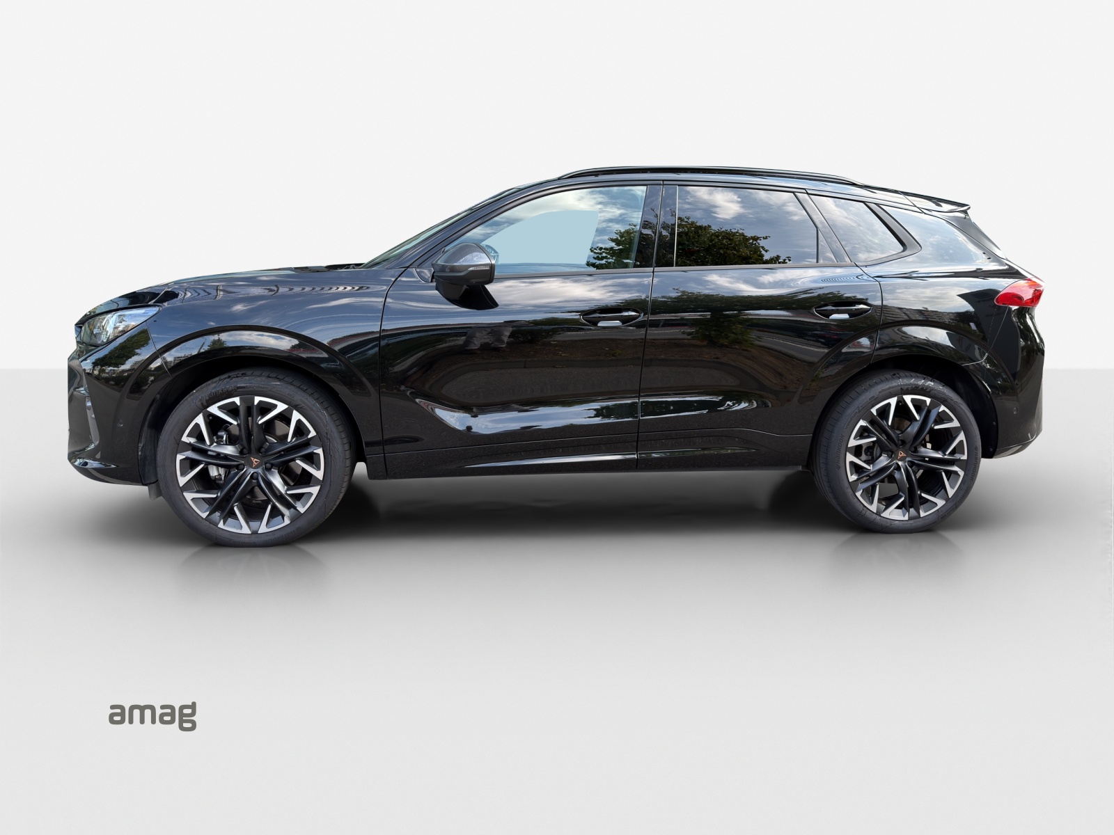 CUPRA Terramar 2.0 TSI DSG 4Drive-image-1