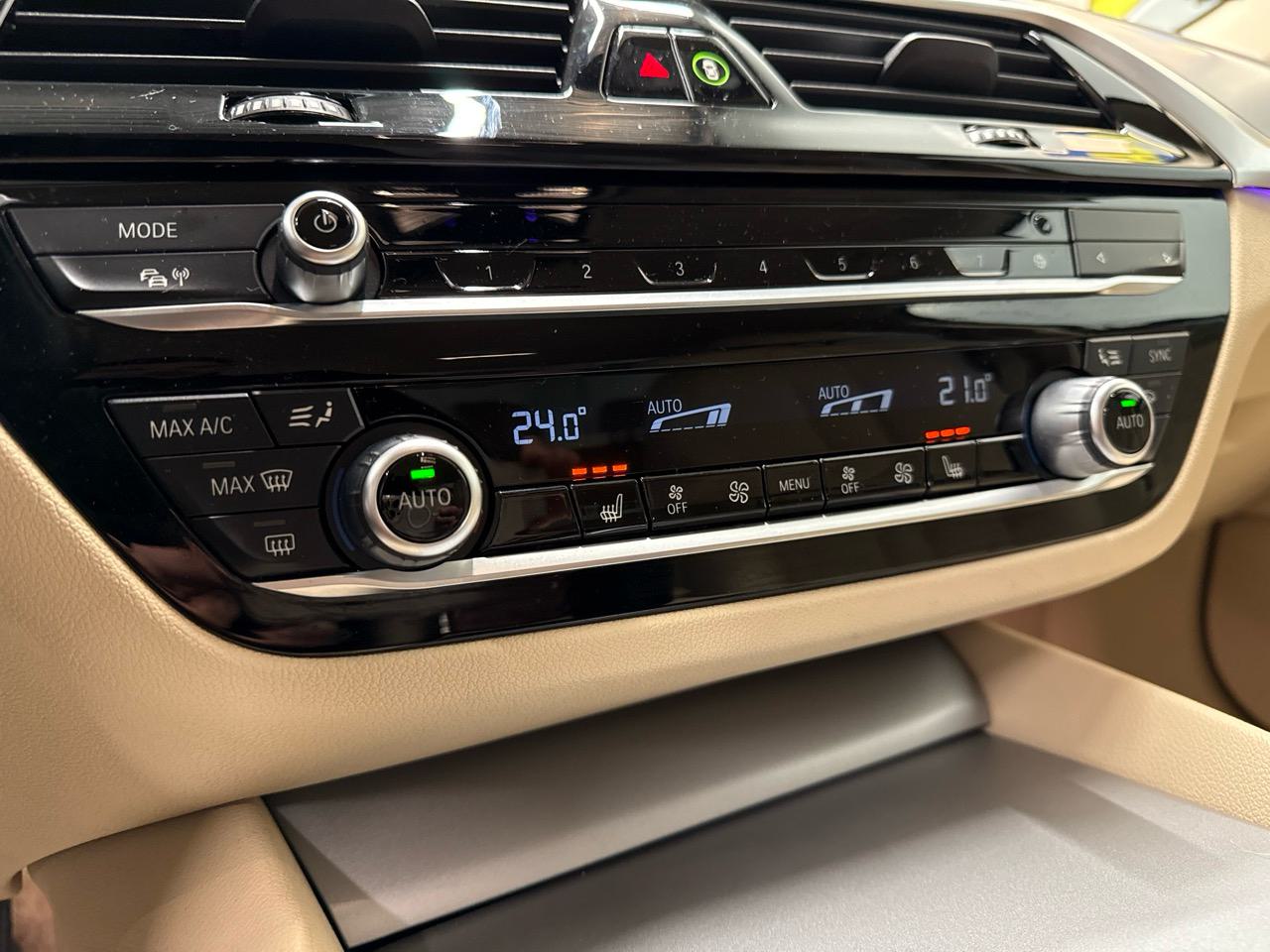 BMW 530e xDrive Steptronic-image-7