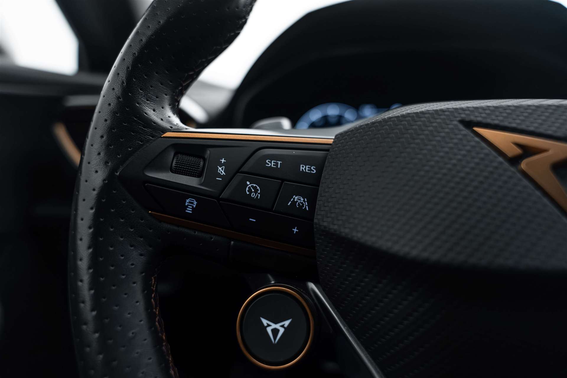 CUPRA Formentor 2.0TSI VZ 4Drive DSG 310PS-image-18