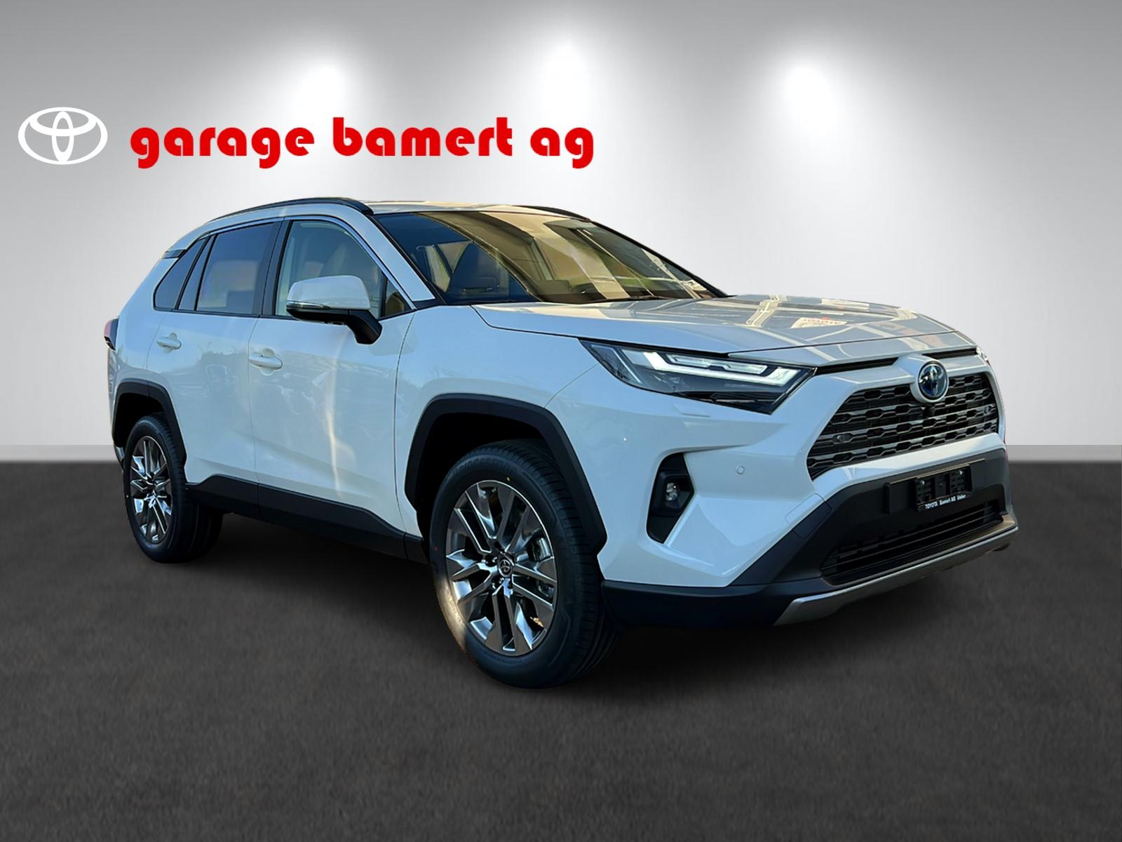 TOYOTA RAV4 2.5 HSD Premium-image-2