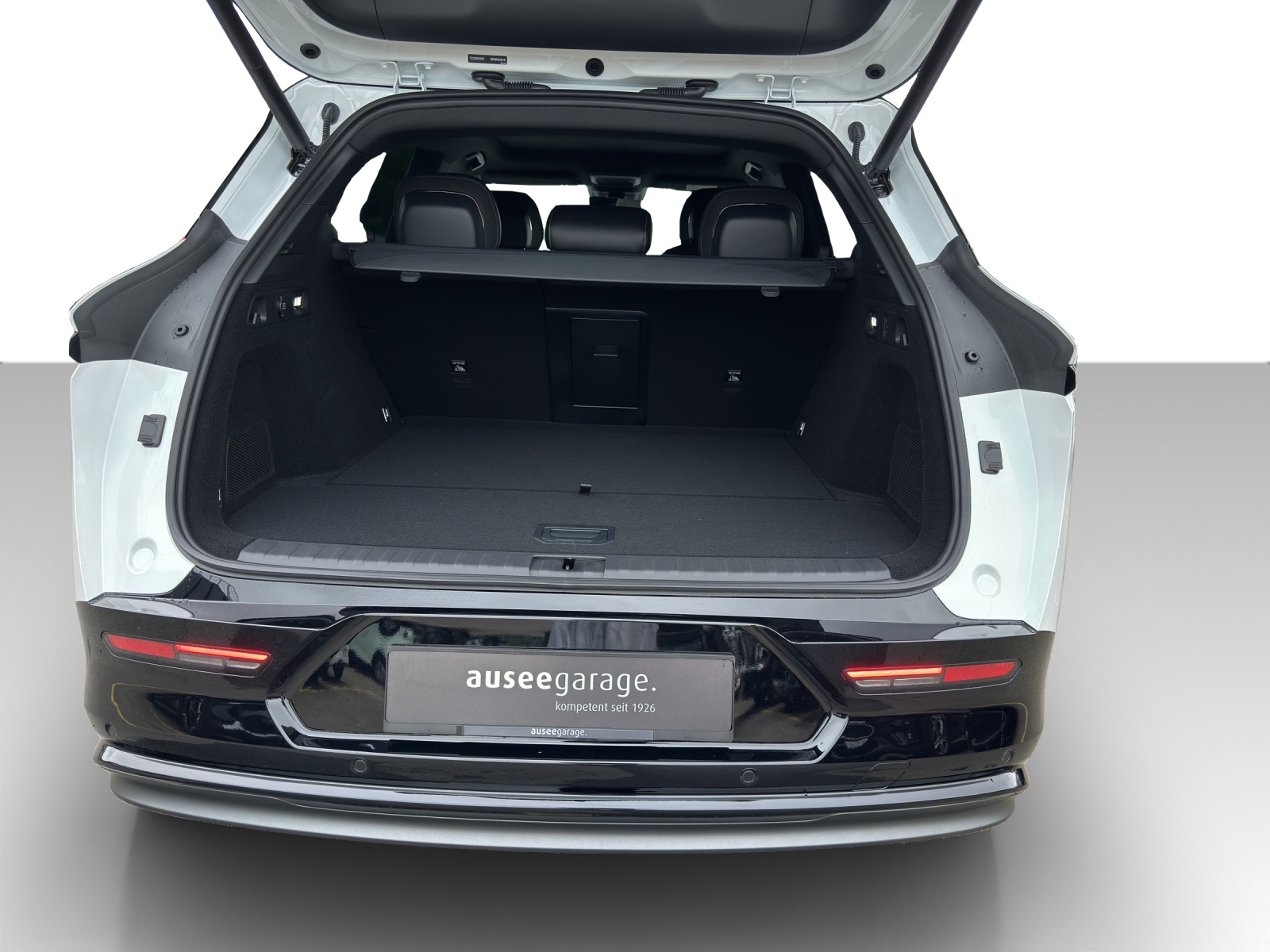ZEEKR 7X Privilege AWD-image-8