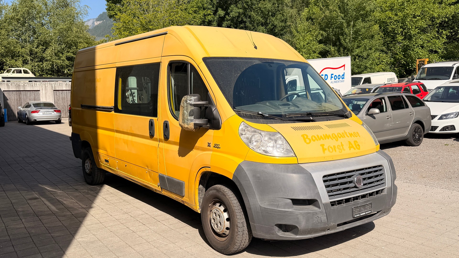 FIAT Fiat-Dangel Ducato 4x4 15Q-image-2