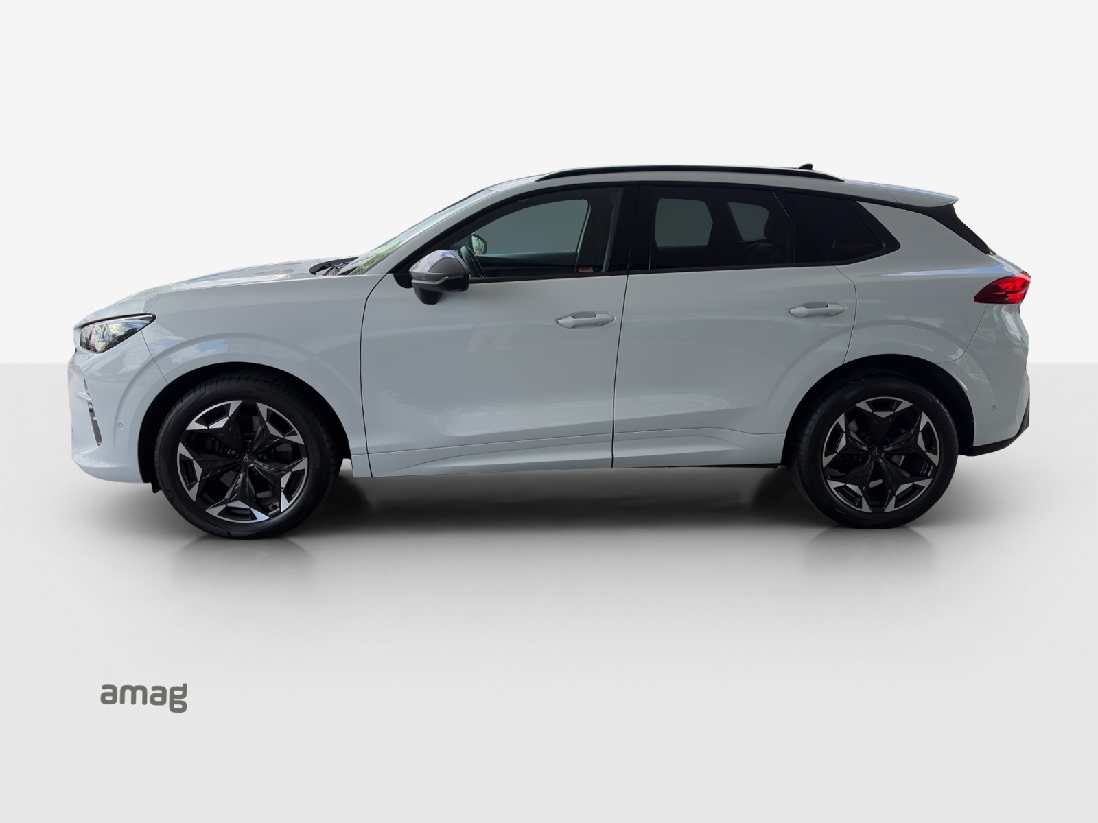 CUPRA Terramar 2.0 TSI DSG 4Drive VZ-image-1
