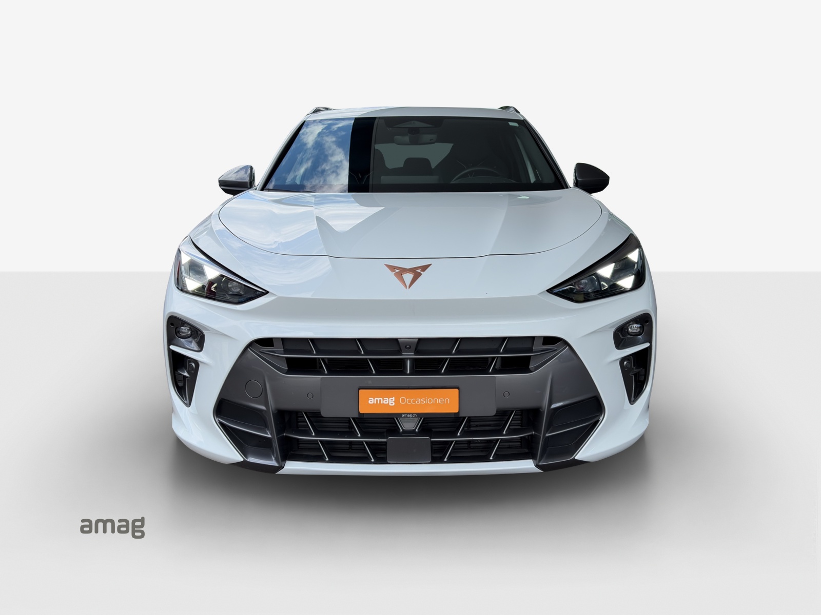 CUPRA Terramar 2.0 TSI DSG 4Drive VZ-image-6