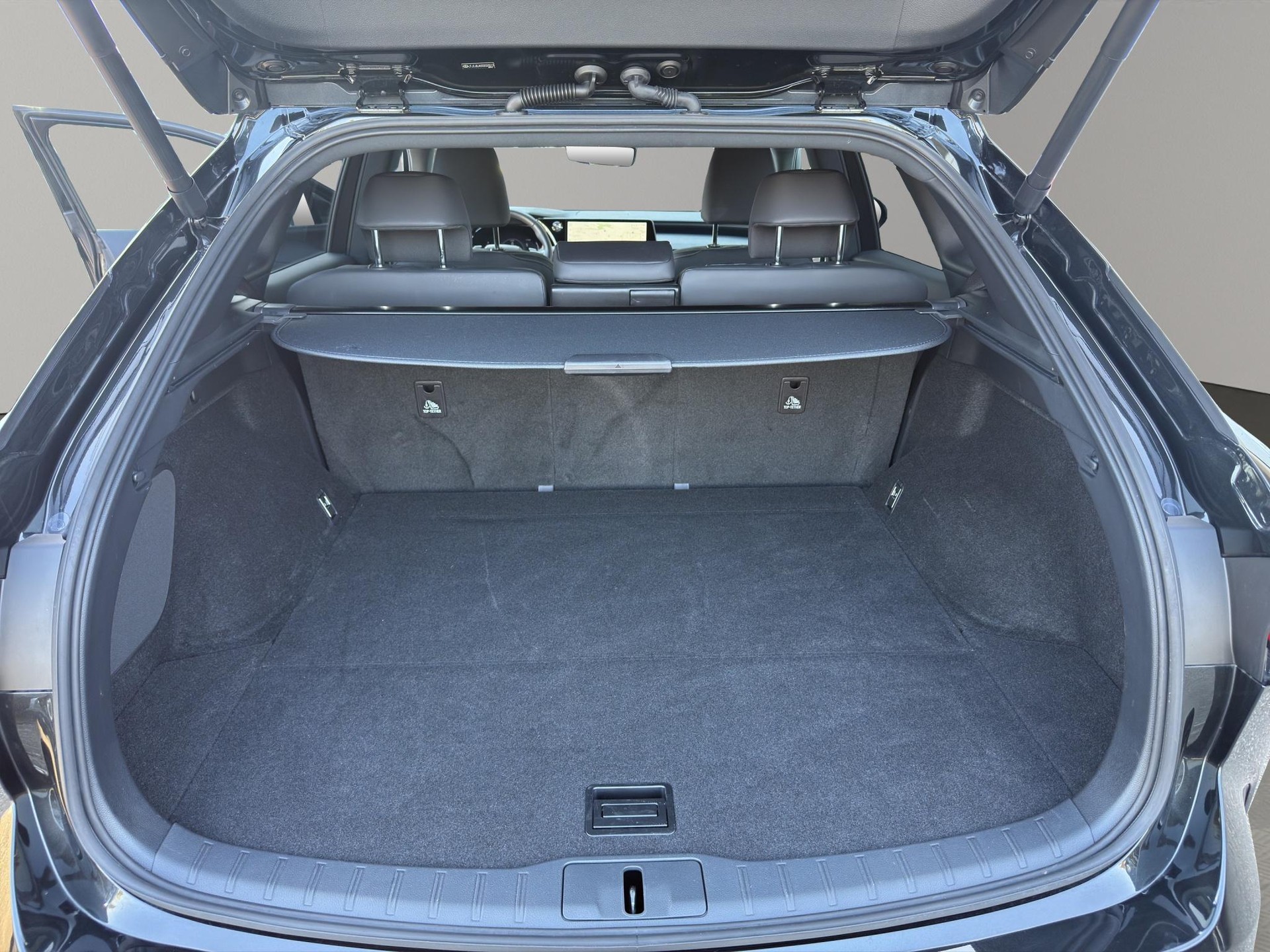 LEXUS RX 350h F-Line-image-9