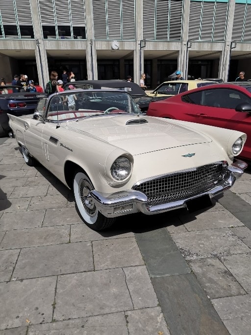 FORD Thunderbird-image-0