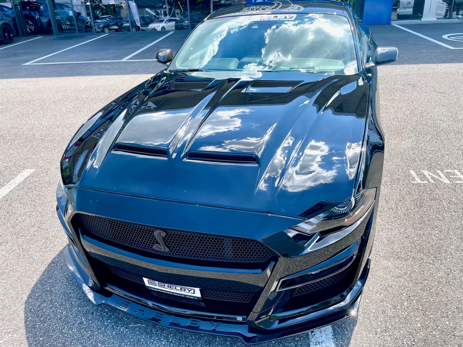 FORD Shelby Supersnake GT500 Appearence-image-1