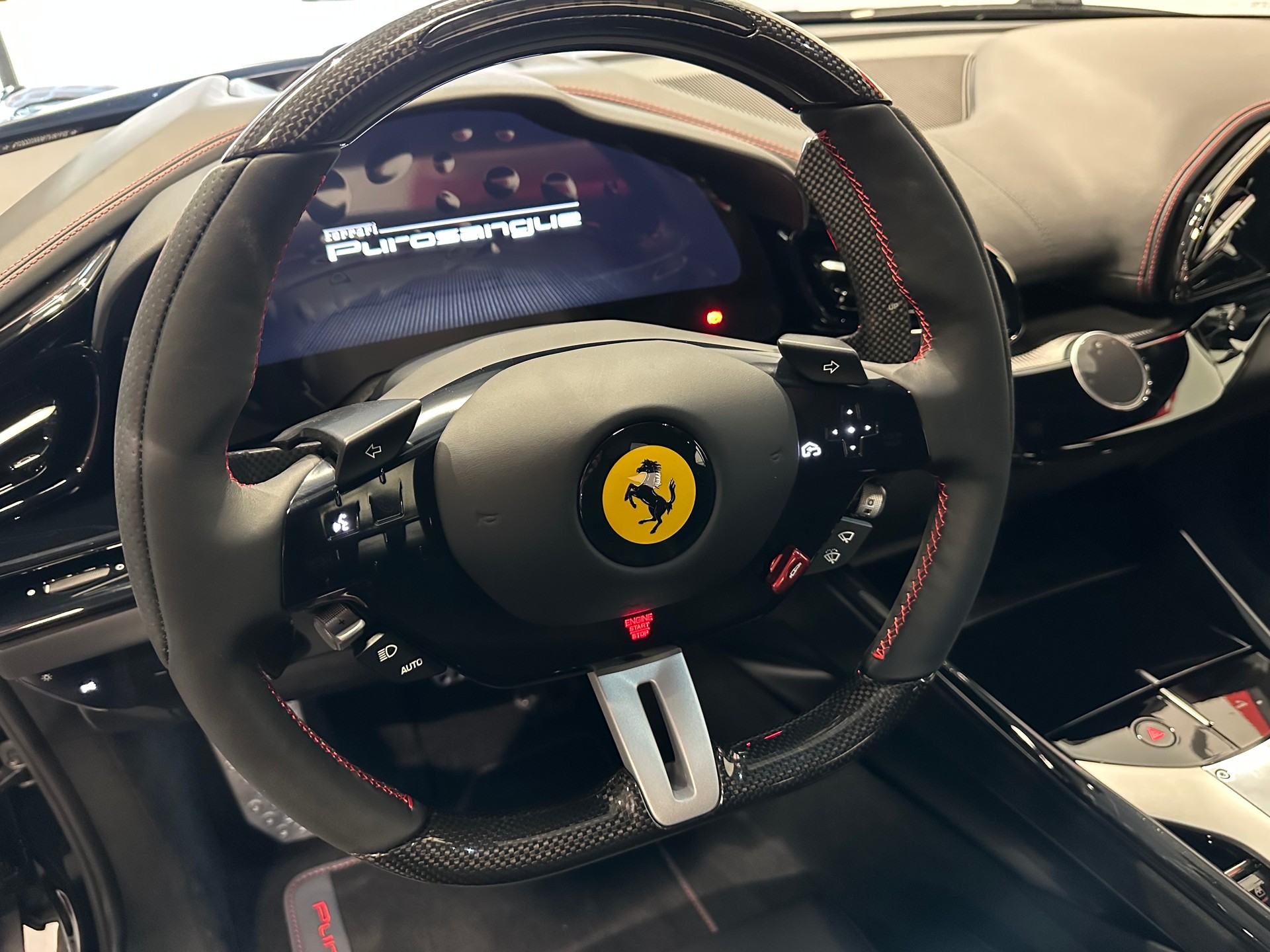 FERRARI PUROSANGUE-image-8