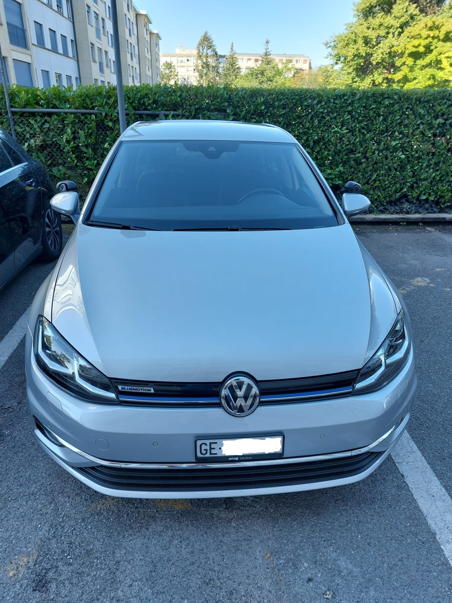 VW Golf 1.5 TSI EVO Comfortline DSG