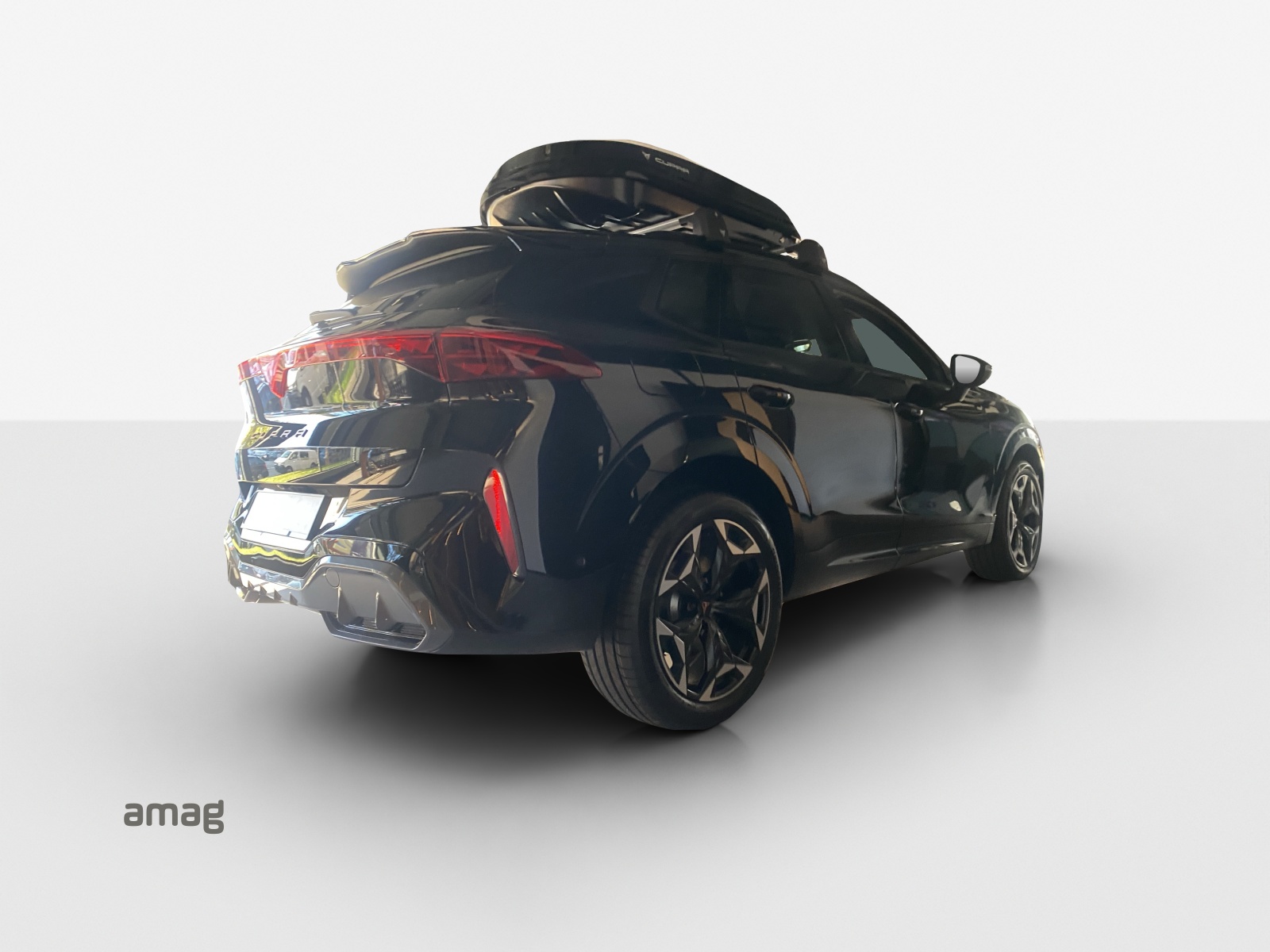 CUPRA Terramar 2.0 TSI DSG 4Drive VZ-image-4