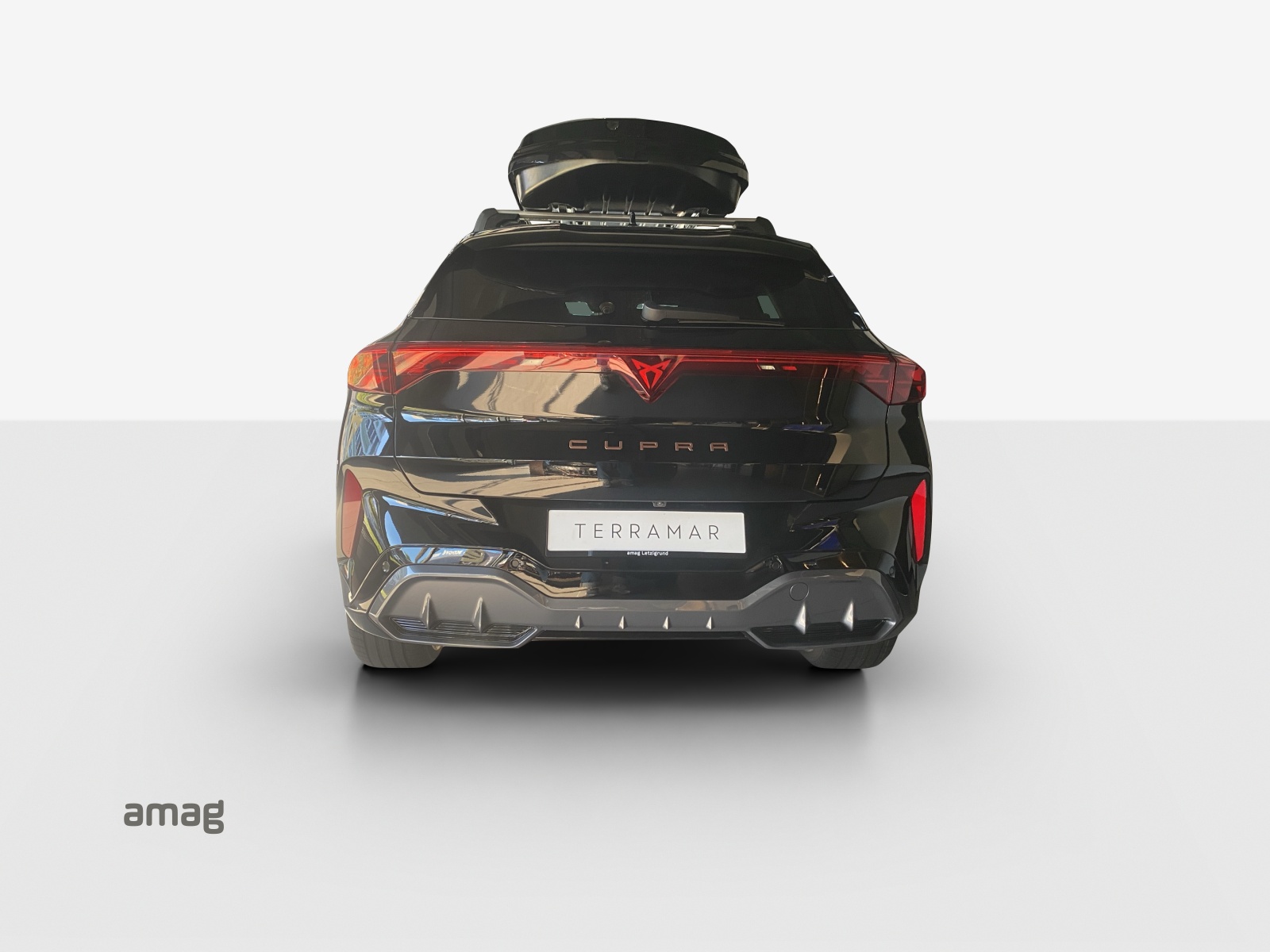 CUPRA Terramar 2.0 TSI DSG 4Drive VZ-image-3