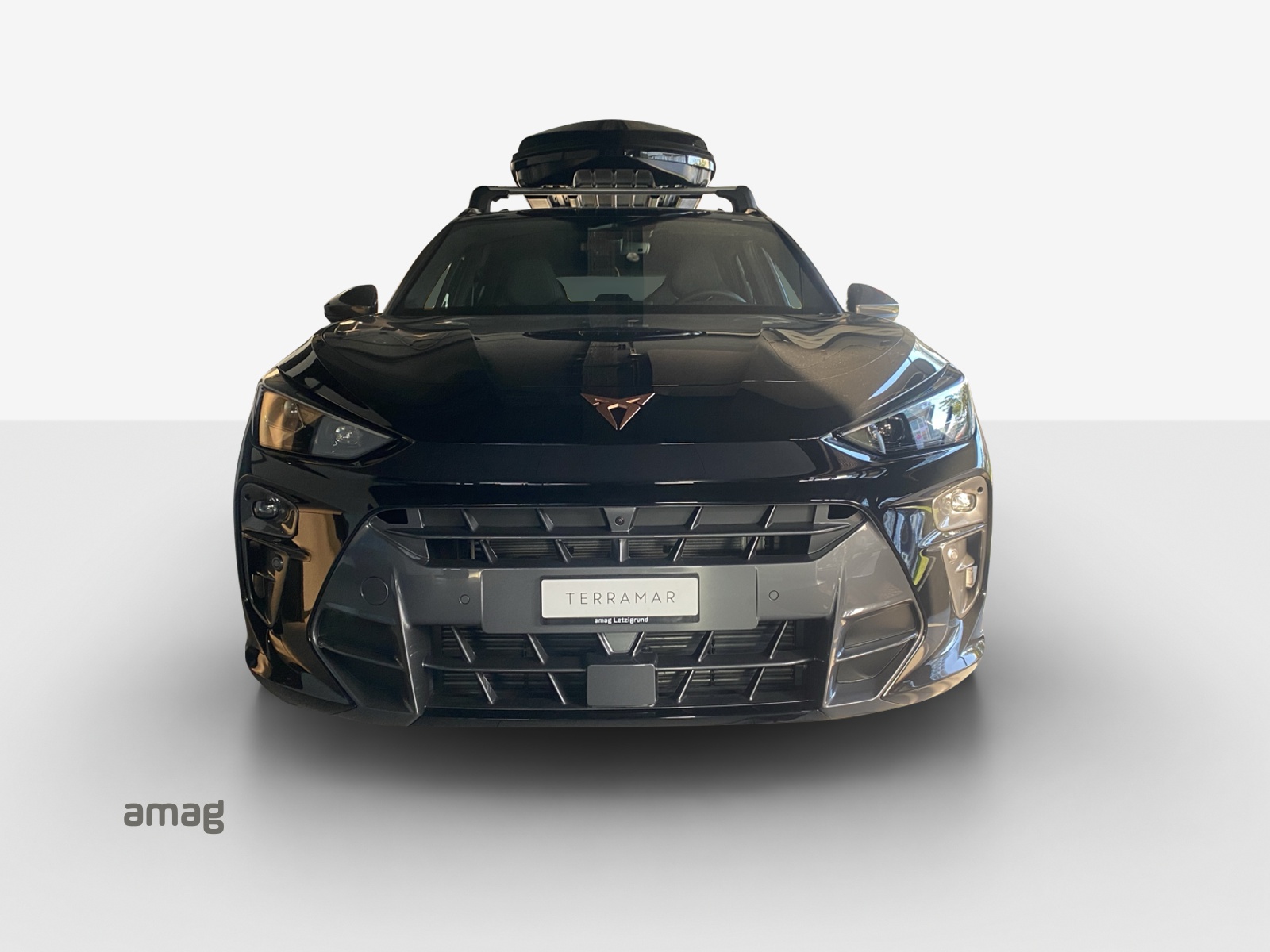 CUPRA Terramar 2.0 TSI DSG 4Drive VZ-image-6