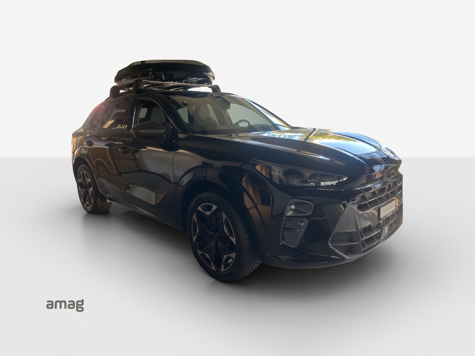 CUPRA Terramar 2.0 TSI DSG 4Drive VZ-image-13