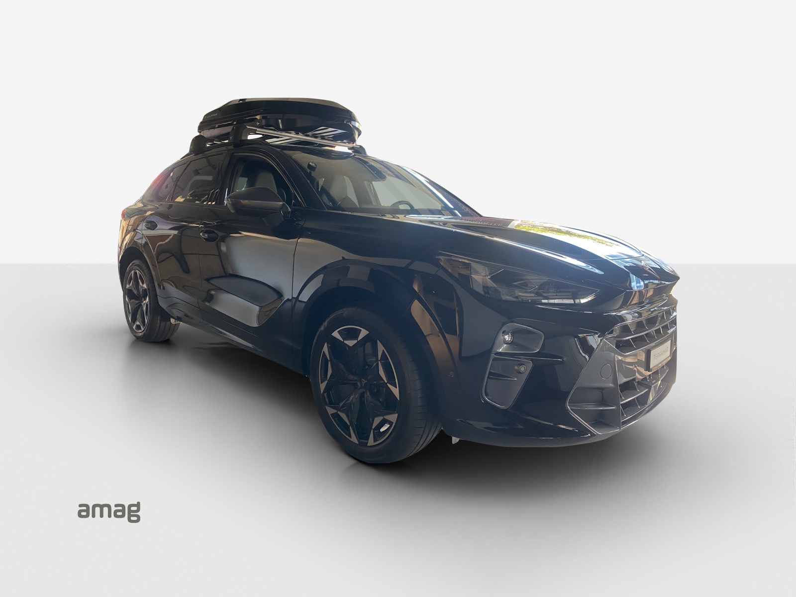 CUPRA Terramar 2.0 TSI DSG 4Drive VZ-image-5